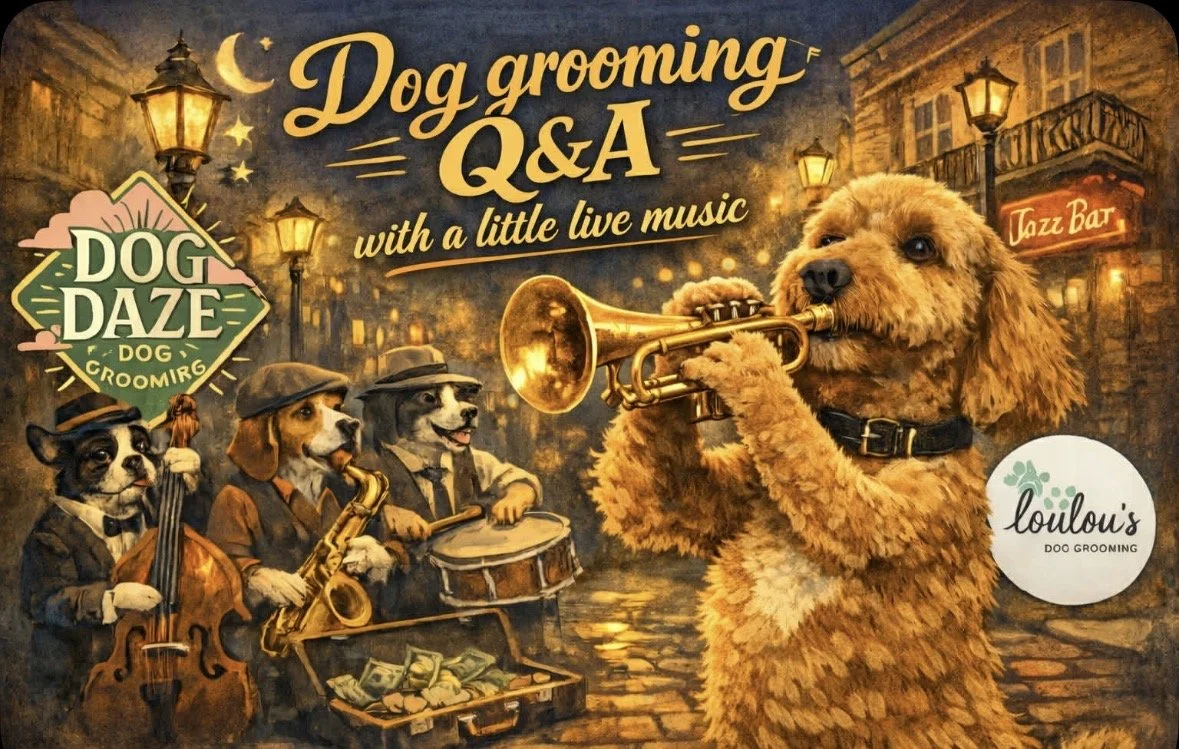Dogs & Jazz!