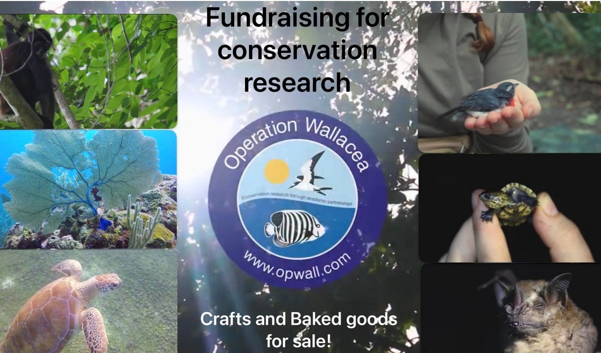 Op Wallacea fundraiser 