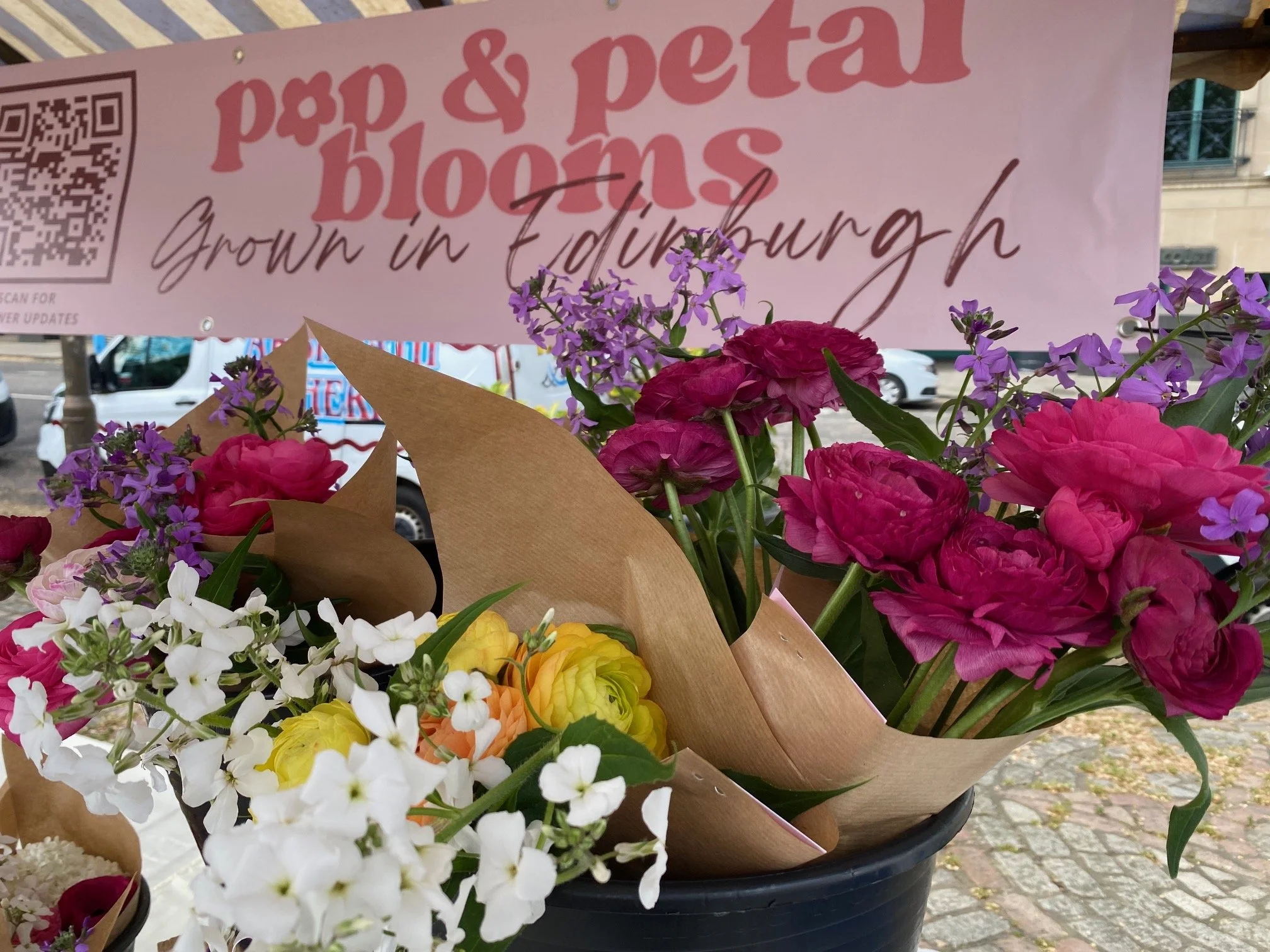 Pop and Petal Blooms