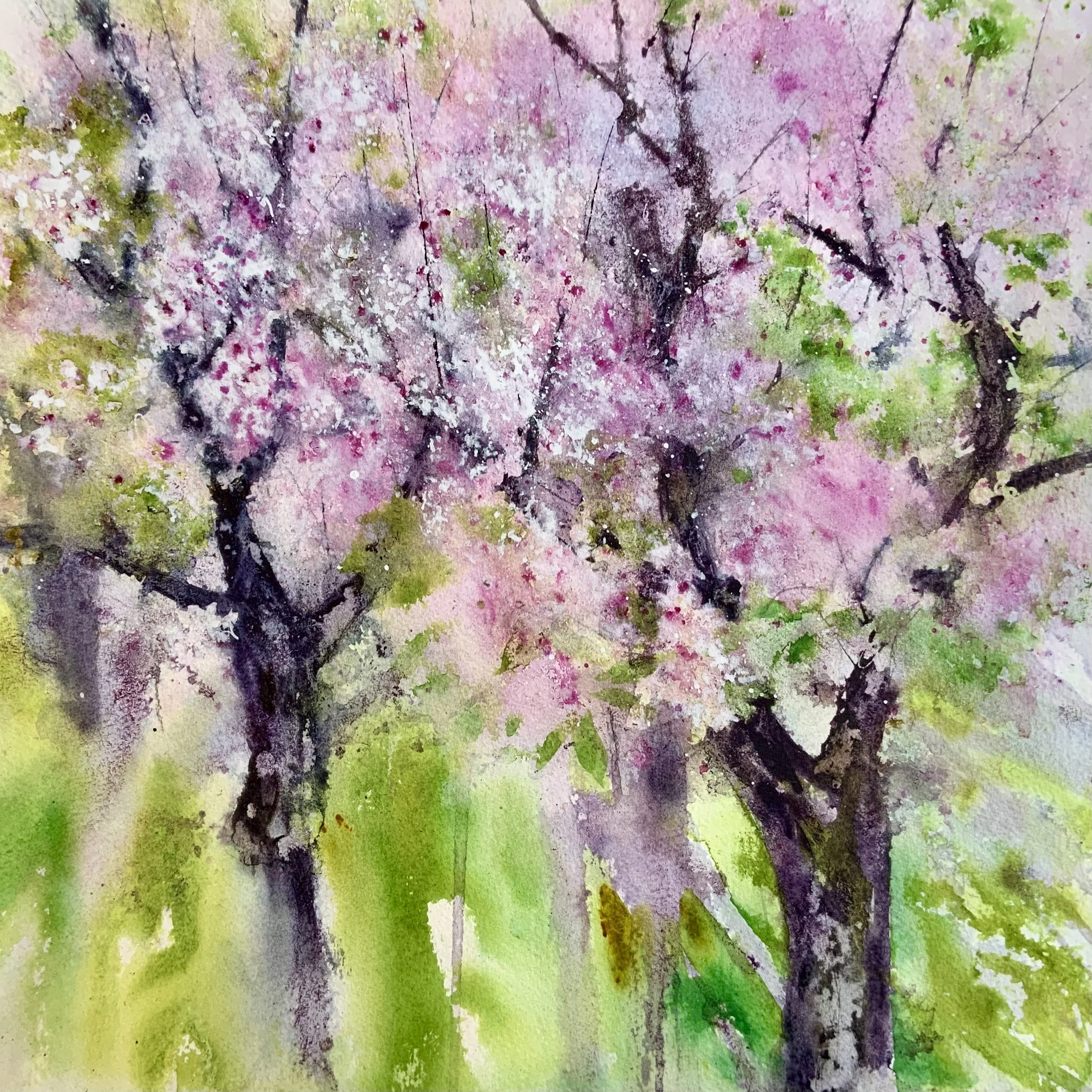 Blossom Time  £380
 Watercolour
 Sold in mount only for safety  50 x 50cm 
  Free shipping to UK, only