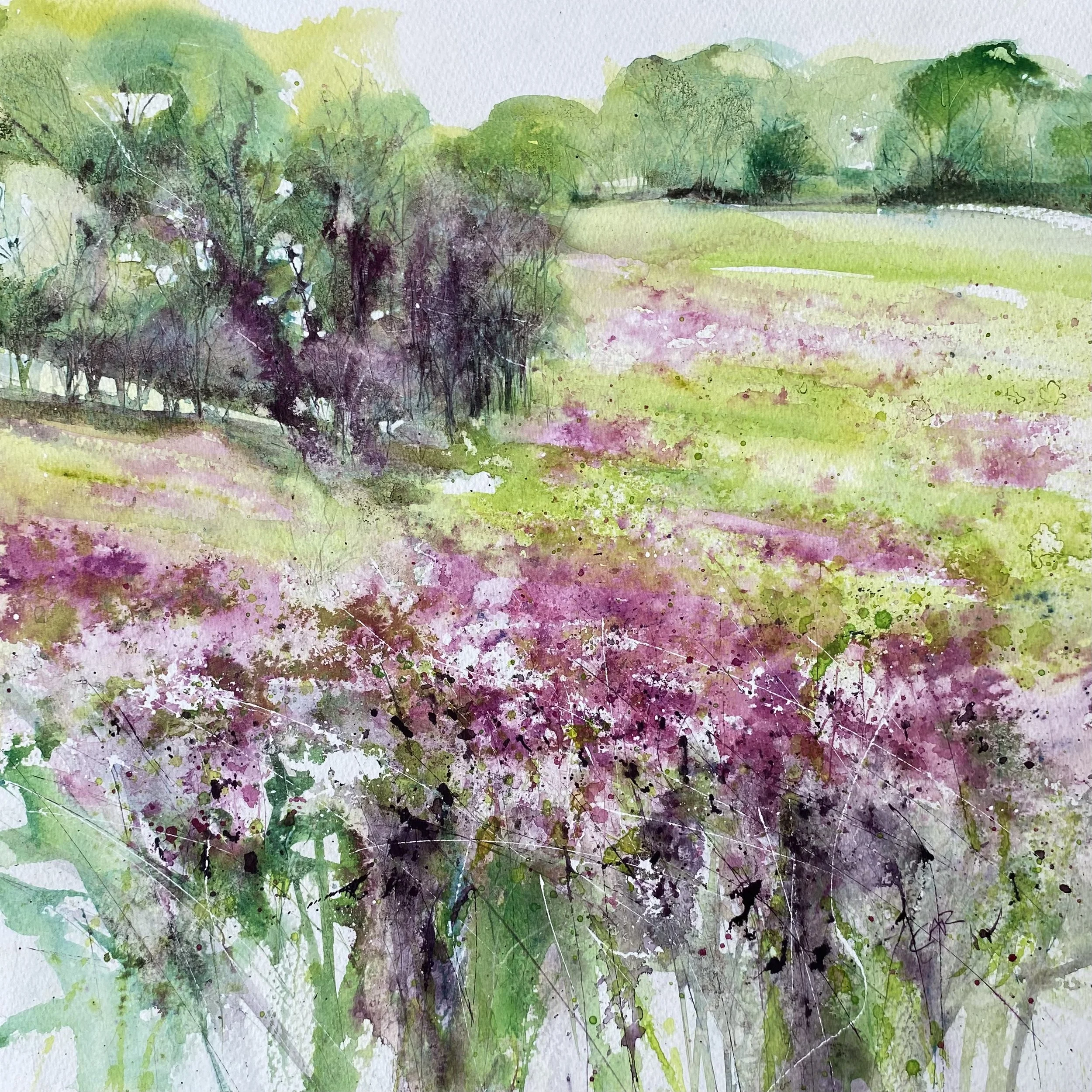 Cornish Campion  £380
 Watercolour
 Sold in mount only for safety  50 x 50cm 
  Free shipping to UK, only
