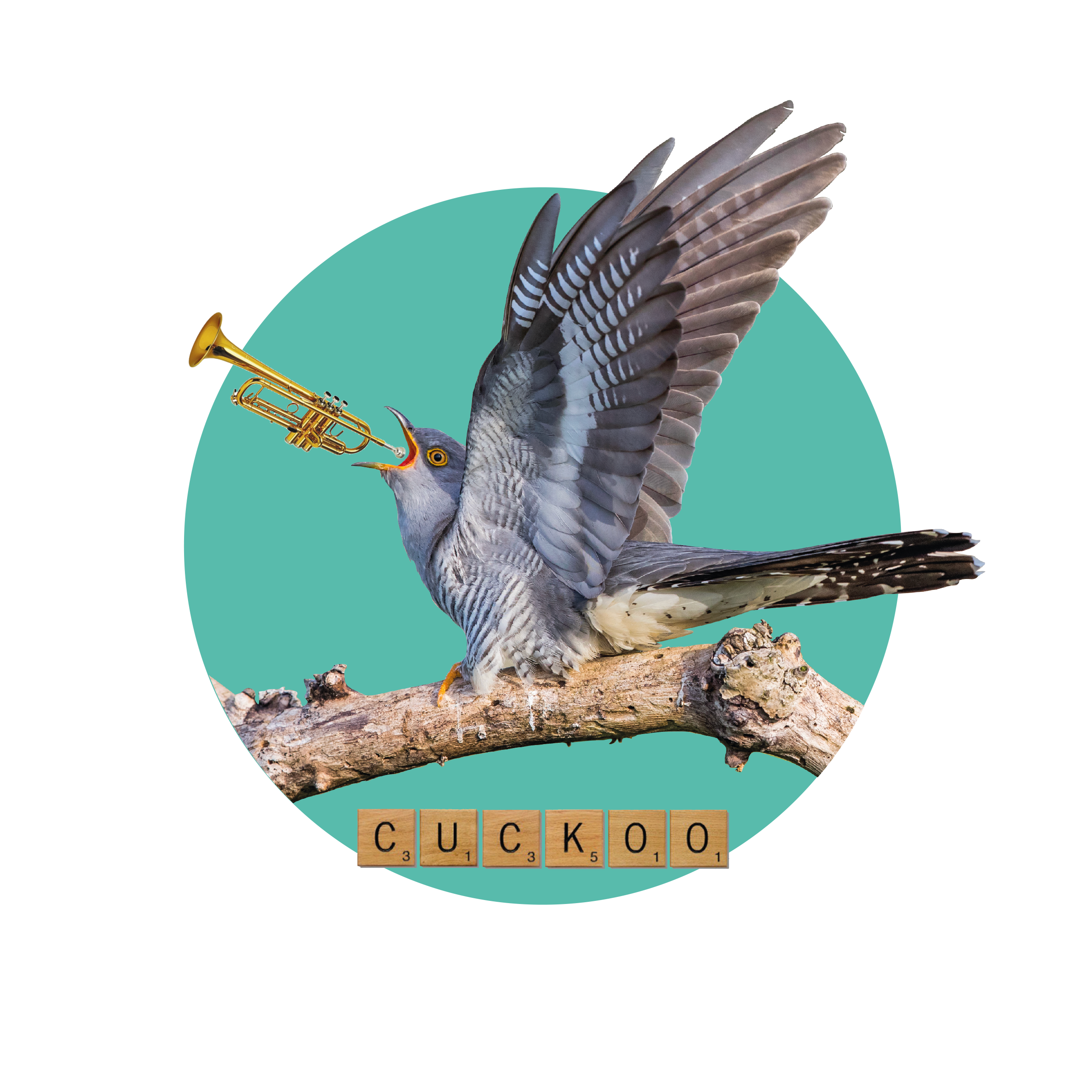 BIRD - CUCKOO 1.png