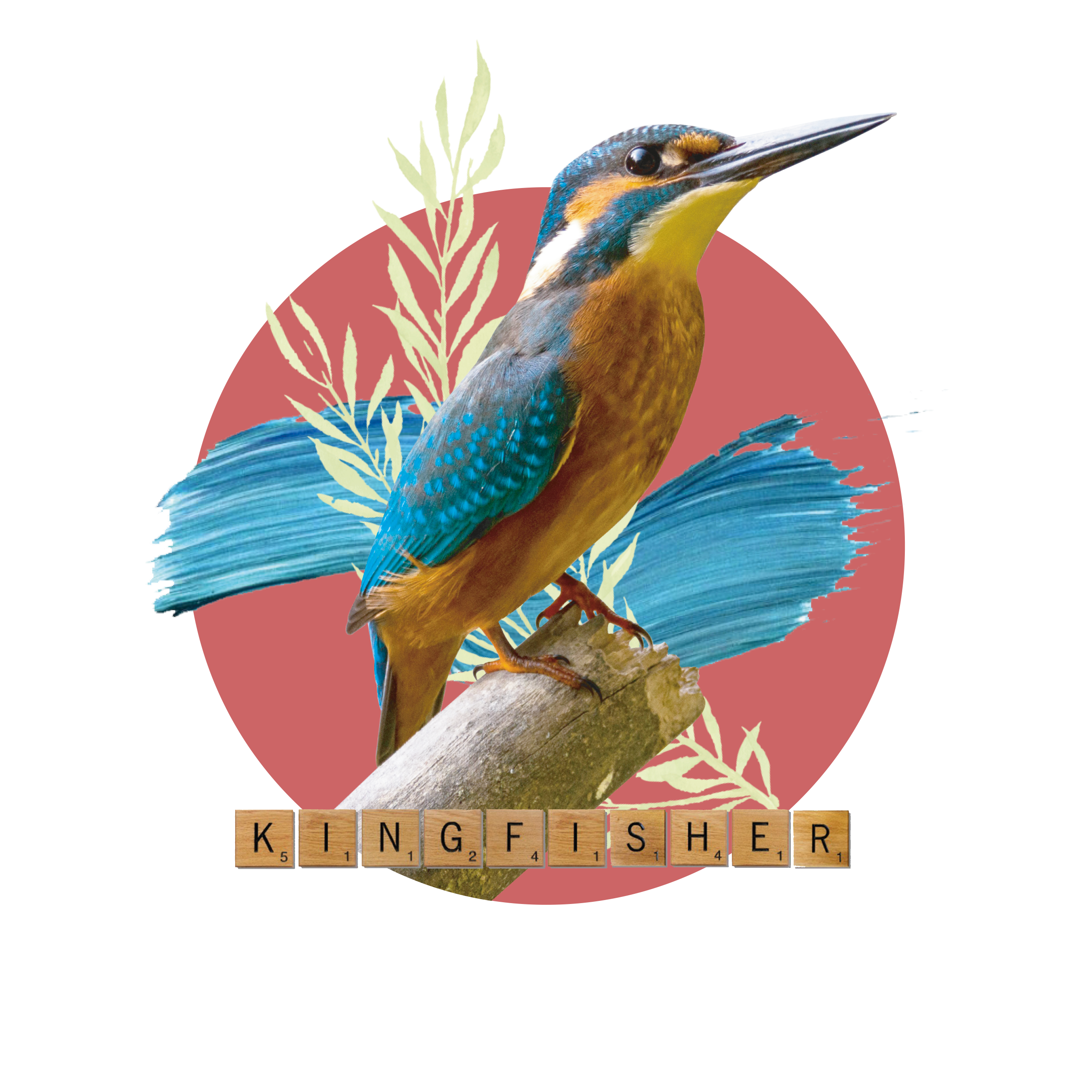 BIRD - KINGFISHER 1.png