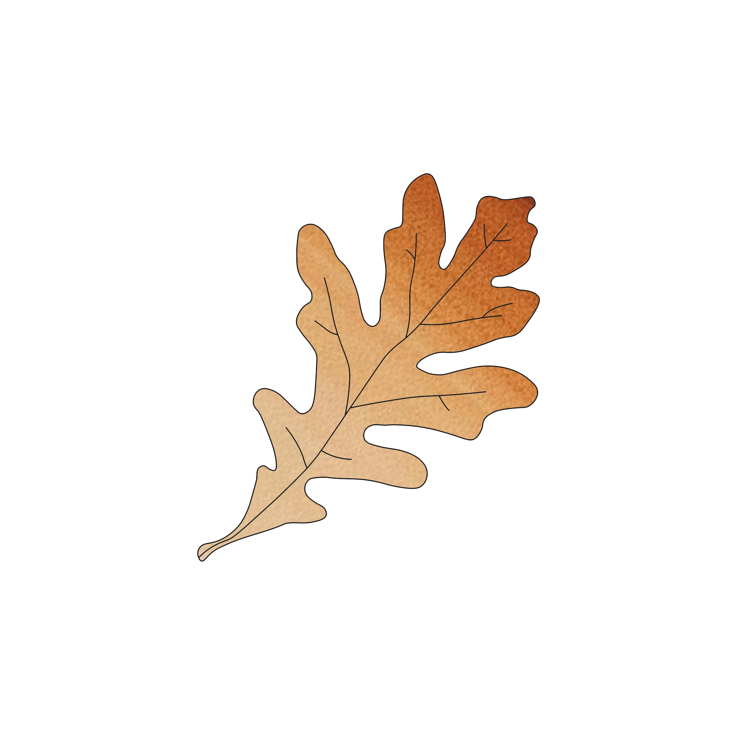 leaf (brown).png
