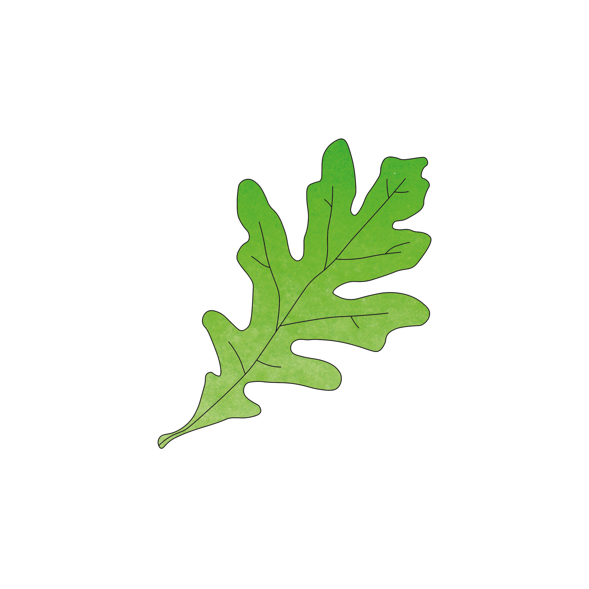 leaf (green).png