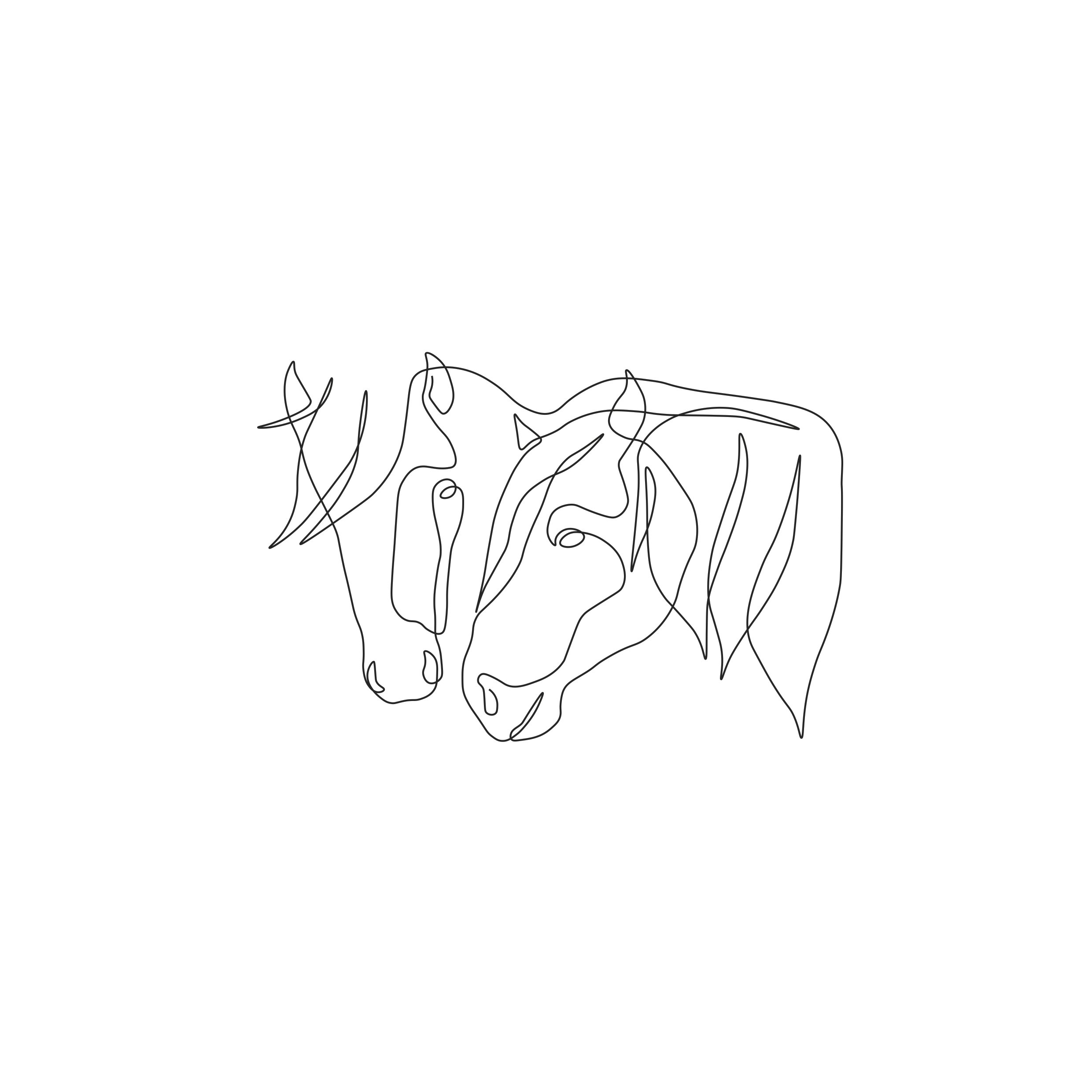 horse 2.jpg