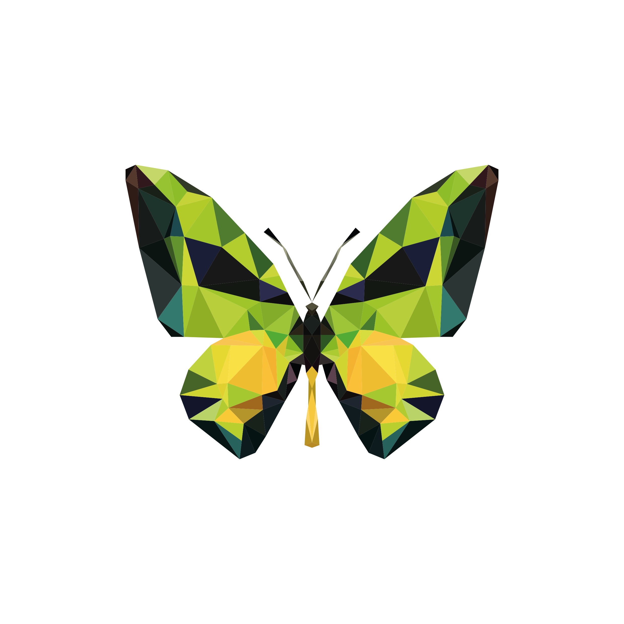 BUTTERFLY 1.png