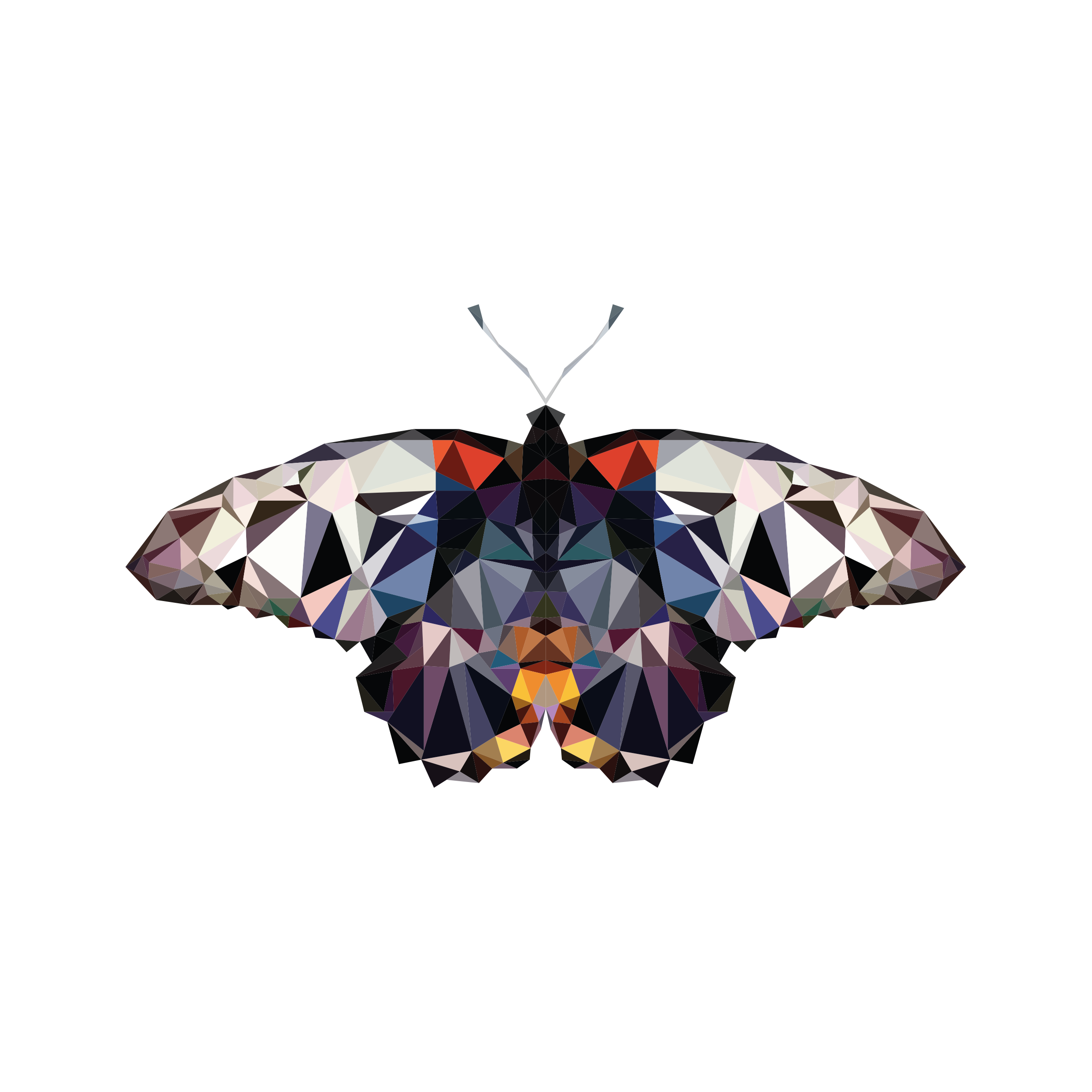 BUTTERFLY 2.png