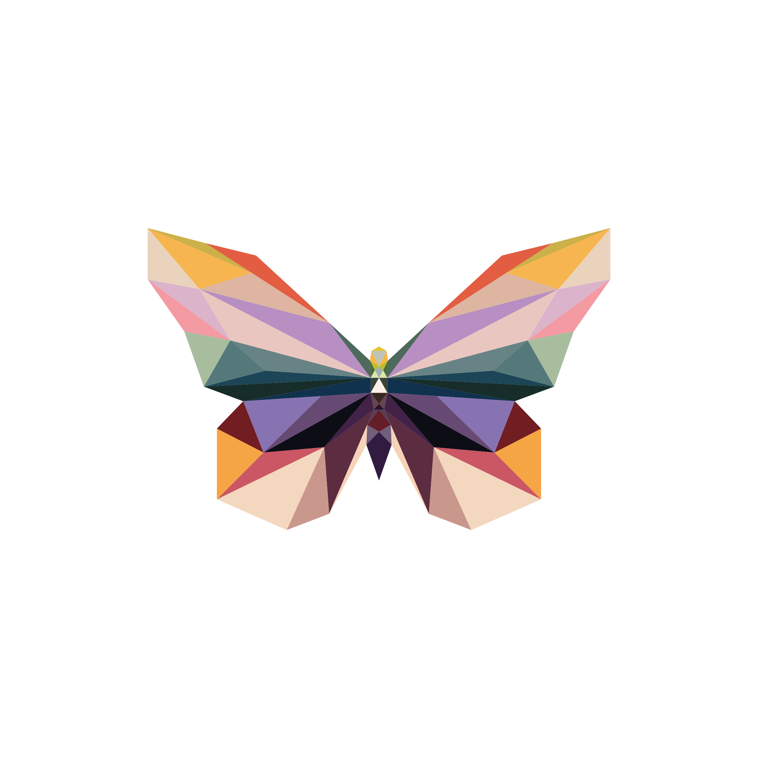 BUTTERFLY 3.png