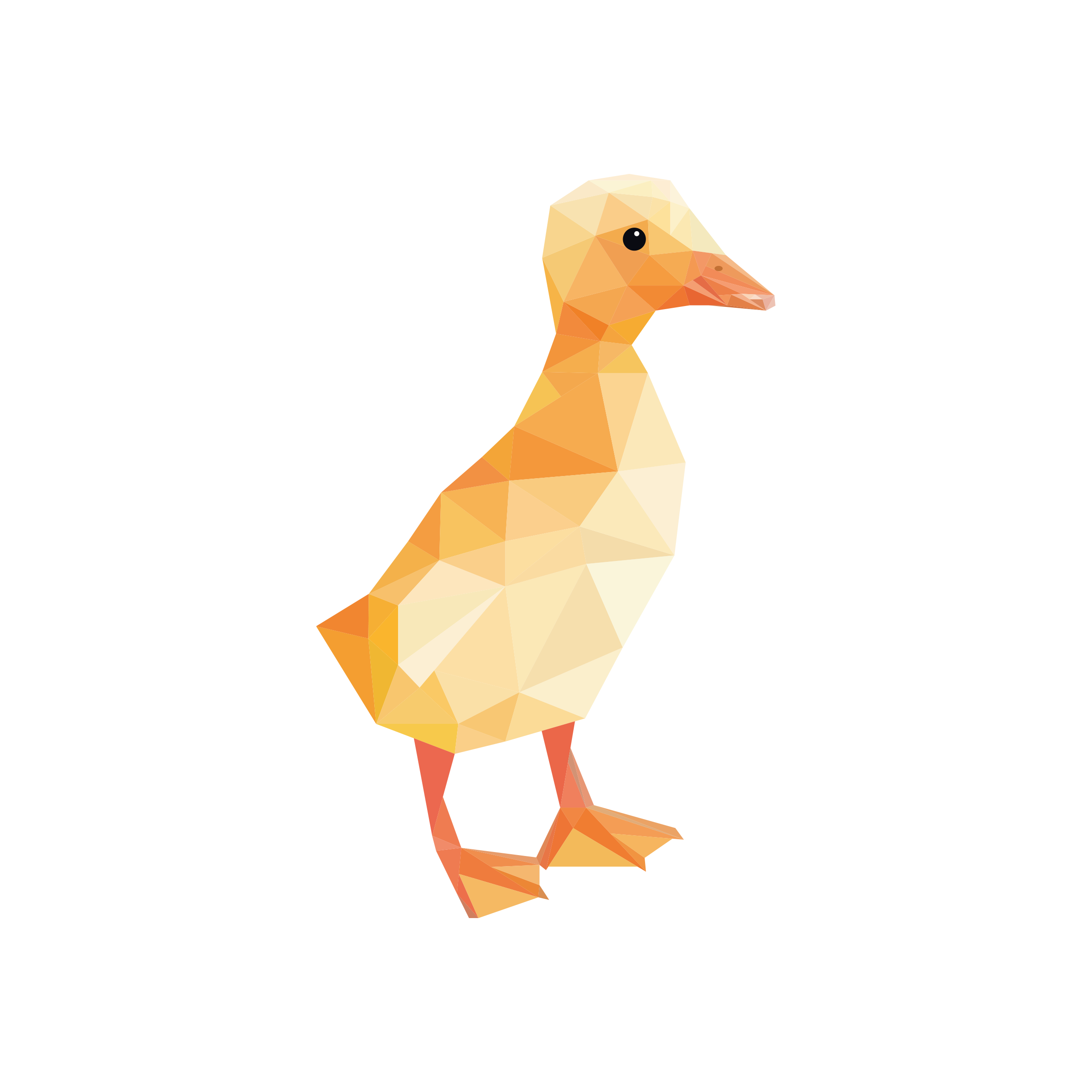 DUCK 2.png