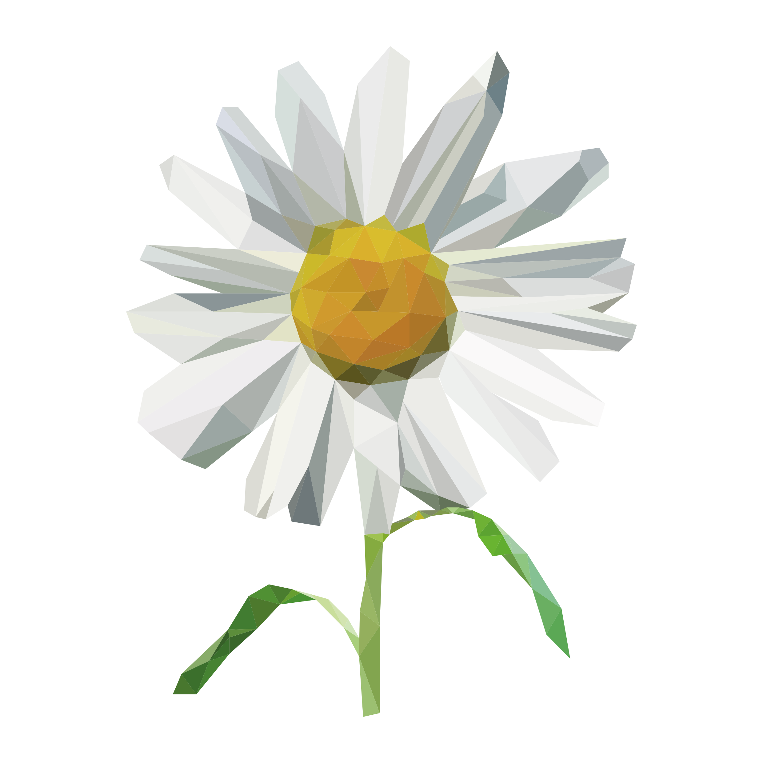 FLOWER 1.png