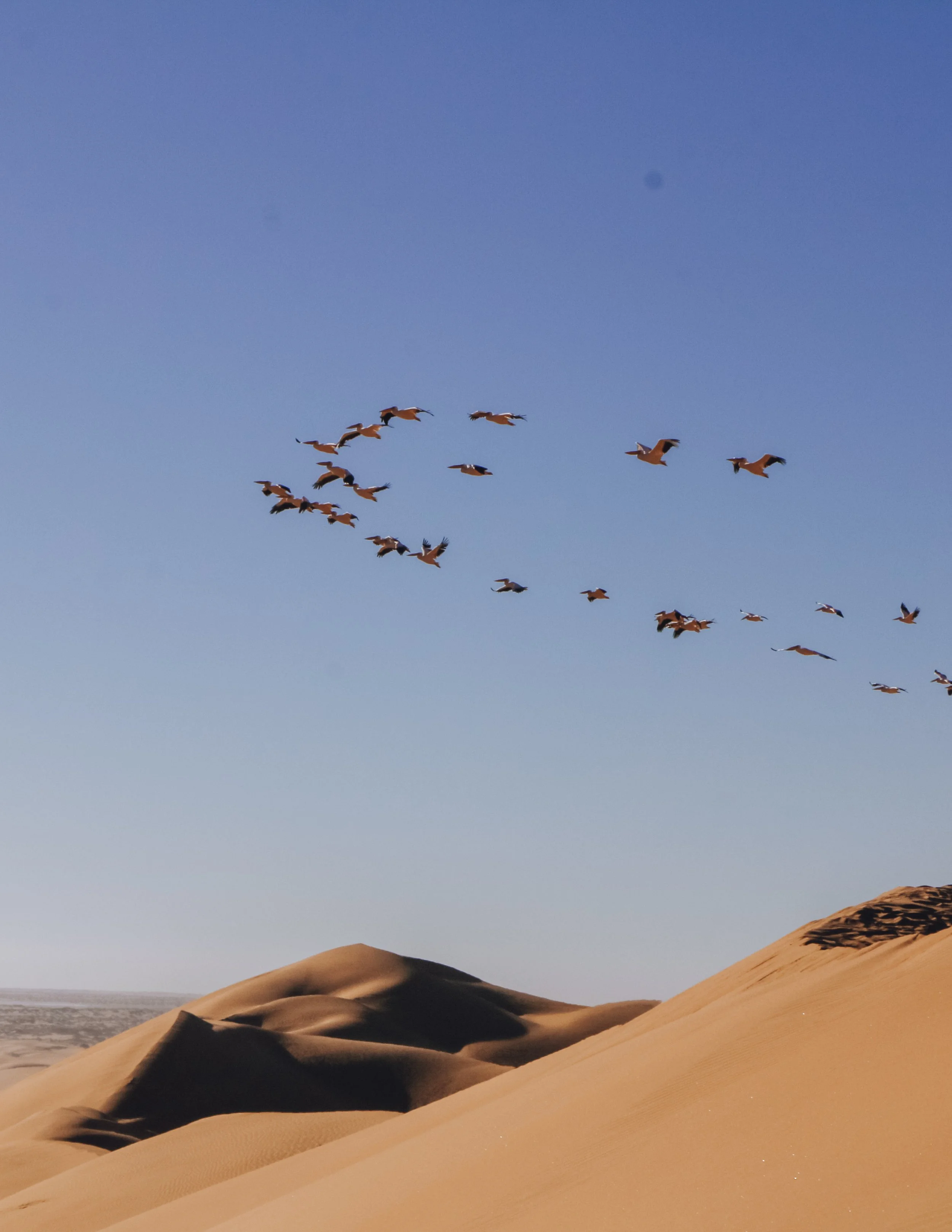 Namibia: The Otherworldly Escape