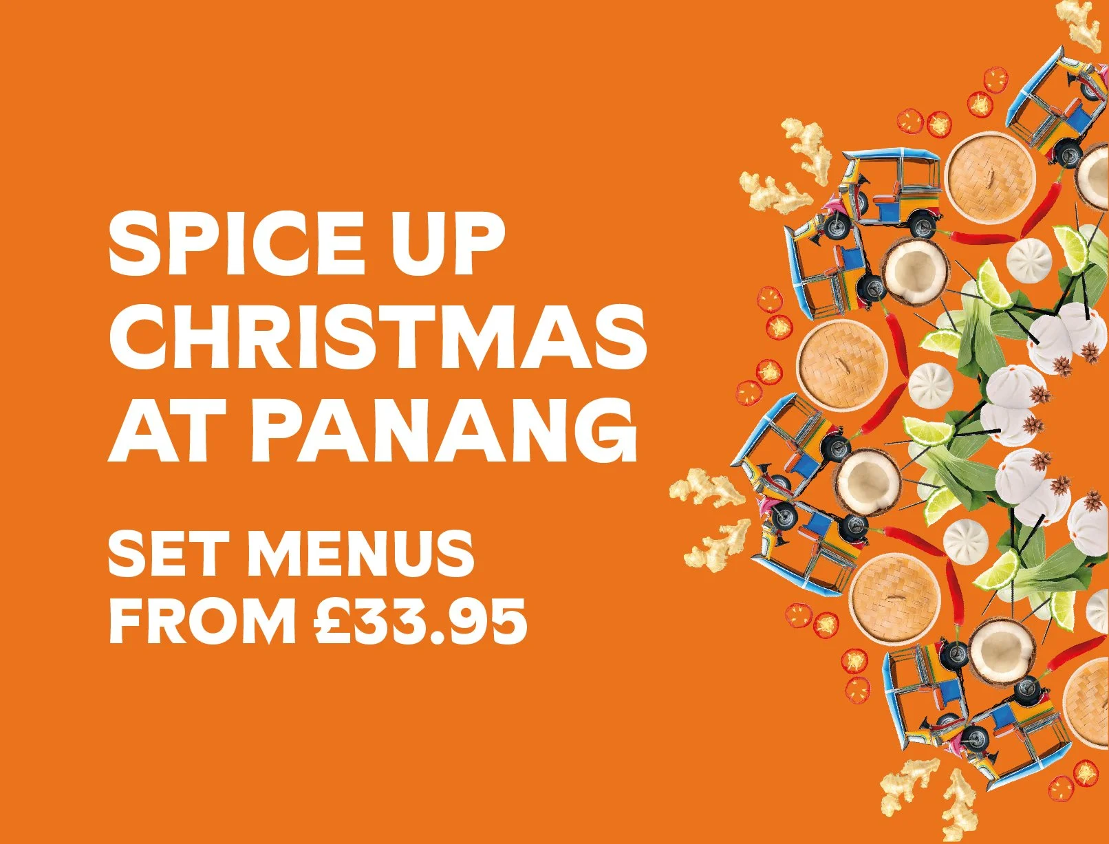 Panang Web Christmas mini banner.png.jpg