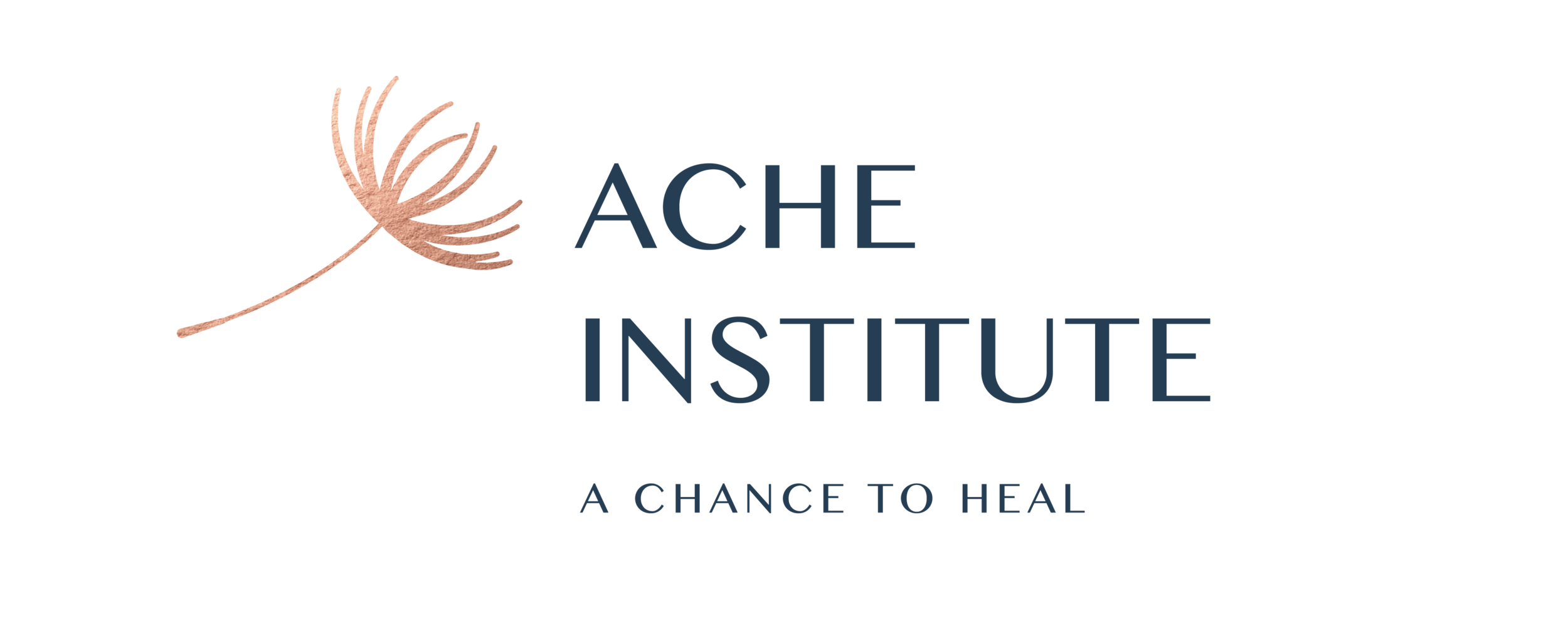 ACHE INSTITUTE IN HOUSTON