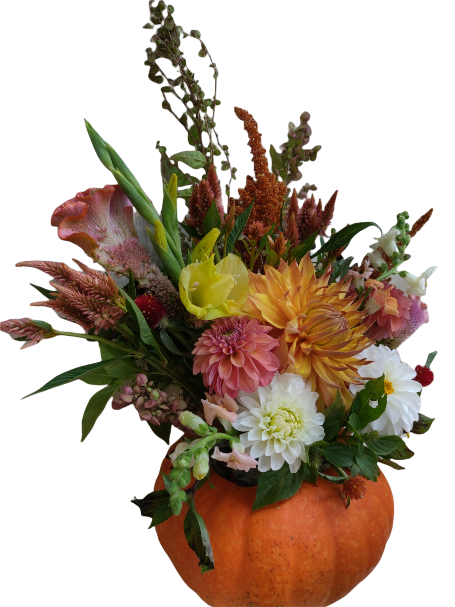 Make-Your-Own-Pumpkin-Bouquet Bar at Red Cedar Spirits