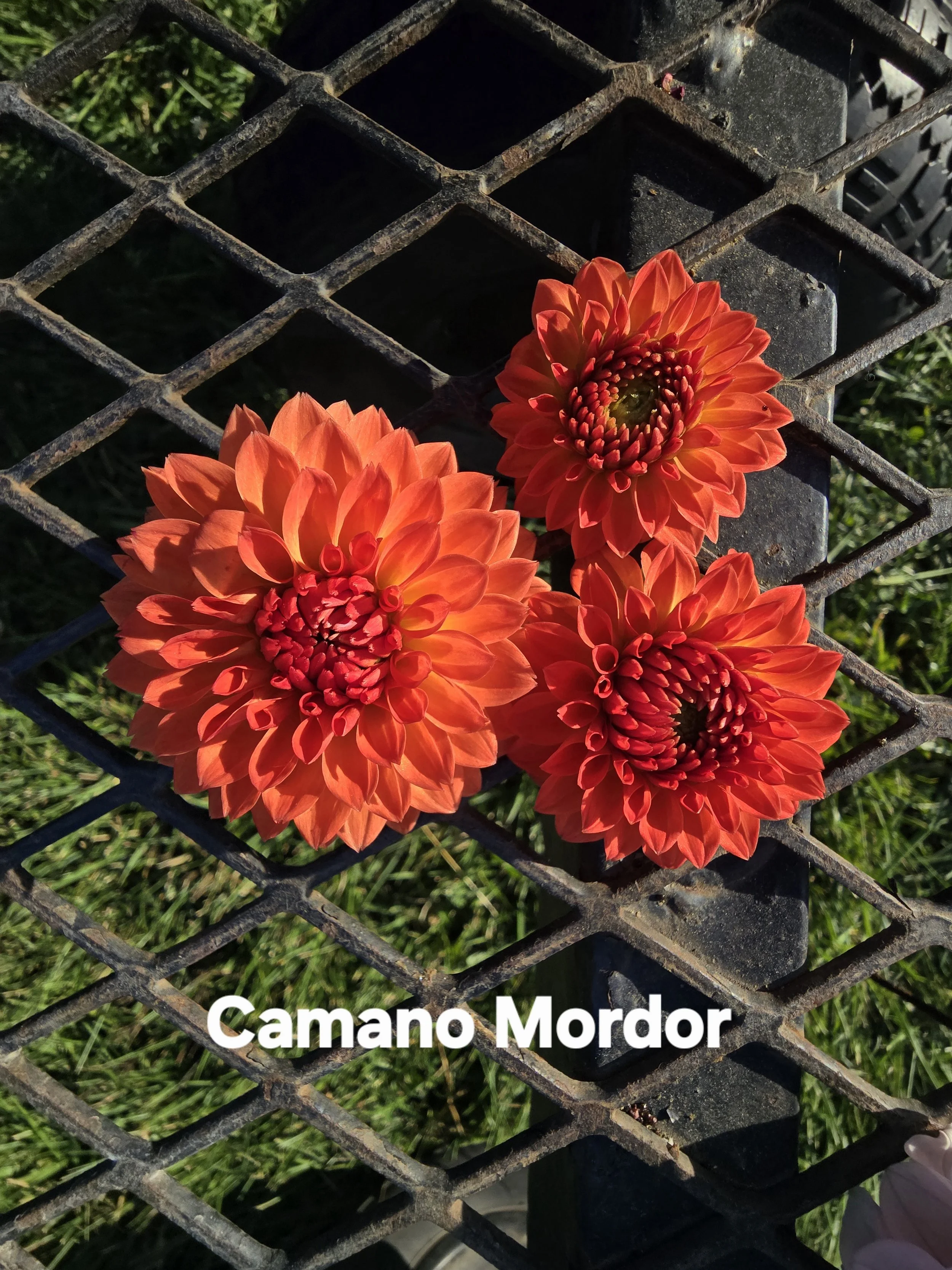 Camano Mordor.jpg (Copy) (Copy) (Copy) (Copy) (Copy) (Copy)