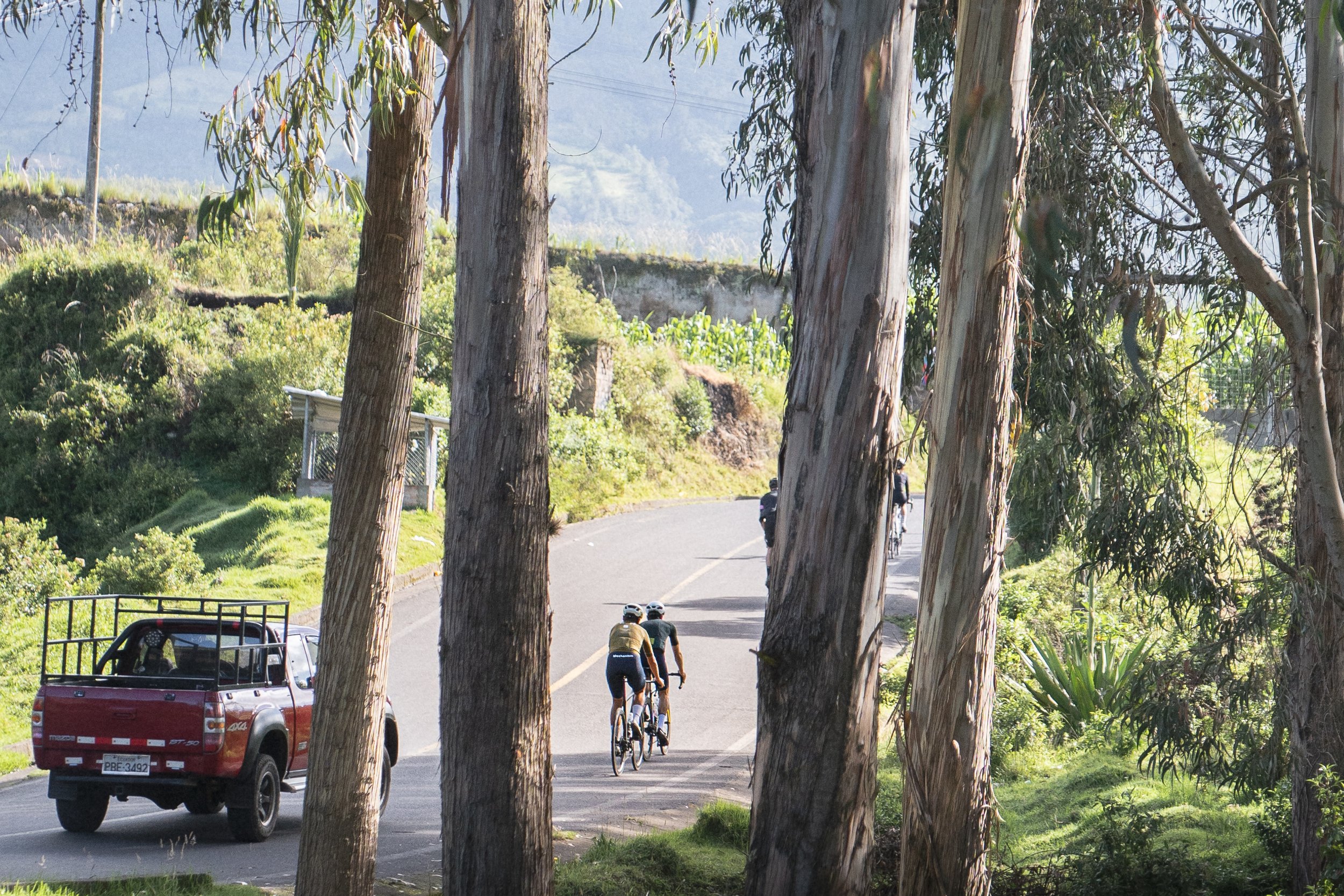 CLIPPED TOURS | ECUADOR