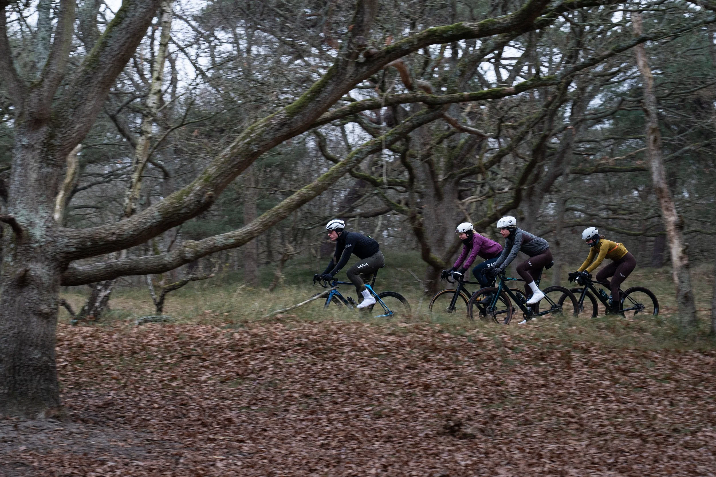 Road cycling in the Netherlands near Hoek van Holland on a quiet winter day, showing cyclists on the coastal landscape and dedicated bike paths.