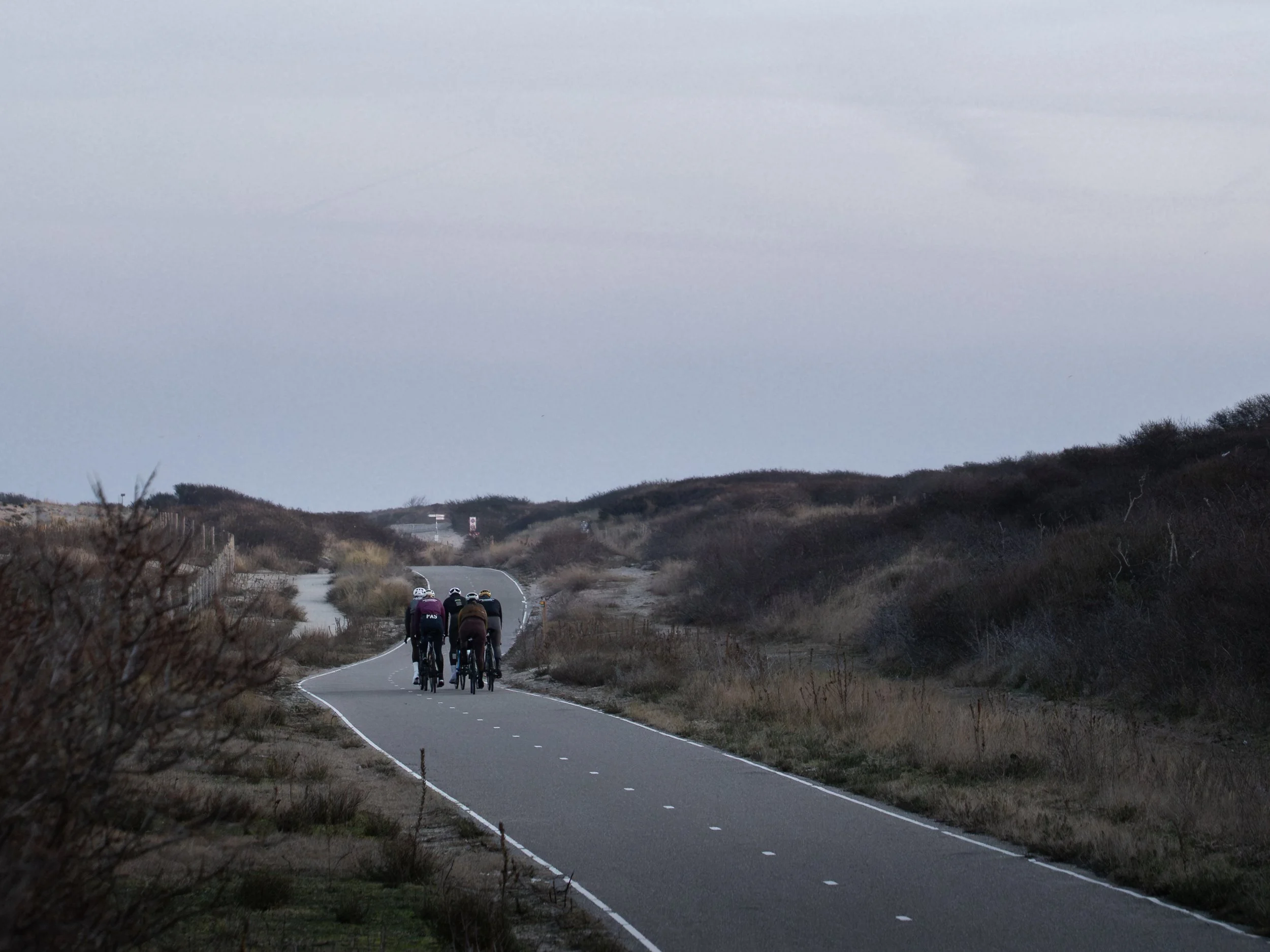 Group of cycling friends cycling through the coastal dunes between Hoek van Holland and Scheveningen on wide, car-free bike paths.
