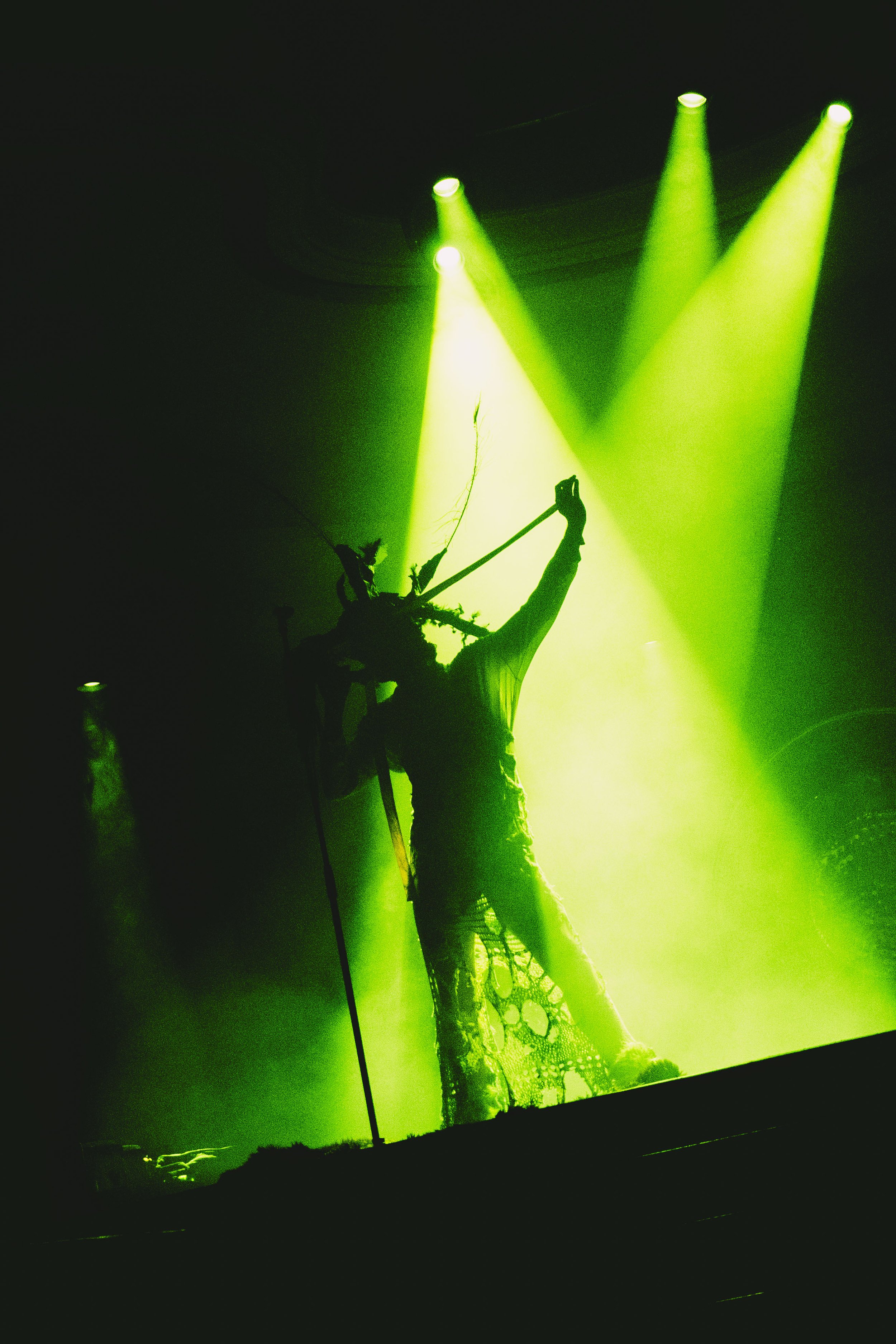 DSC08157.jpeg