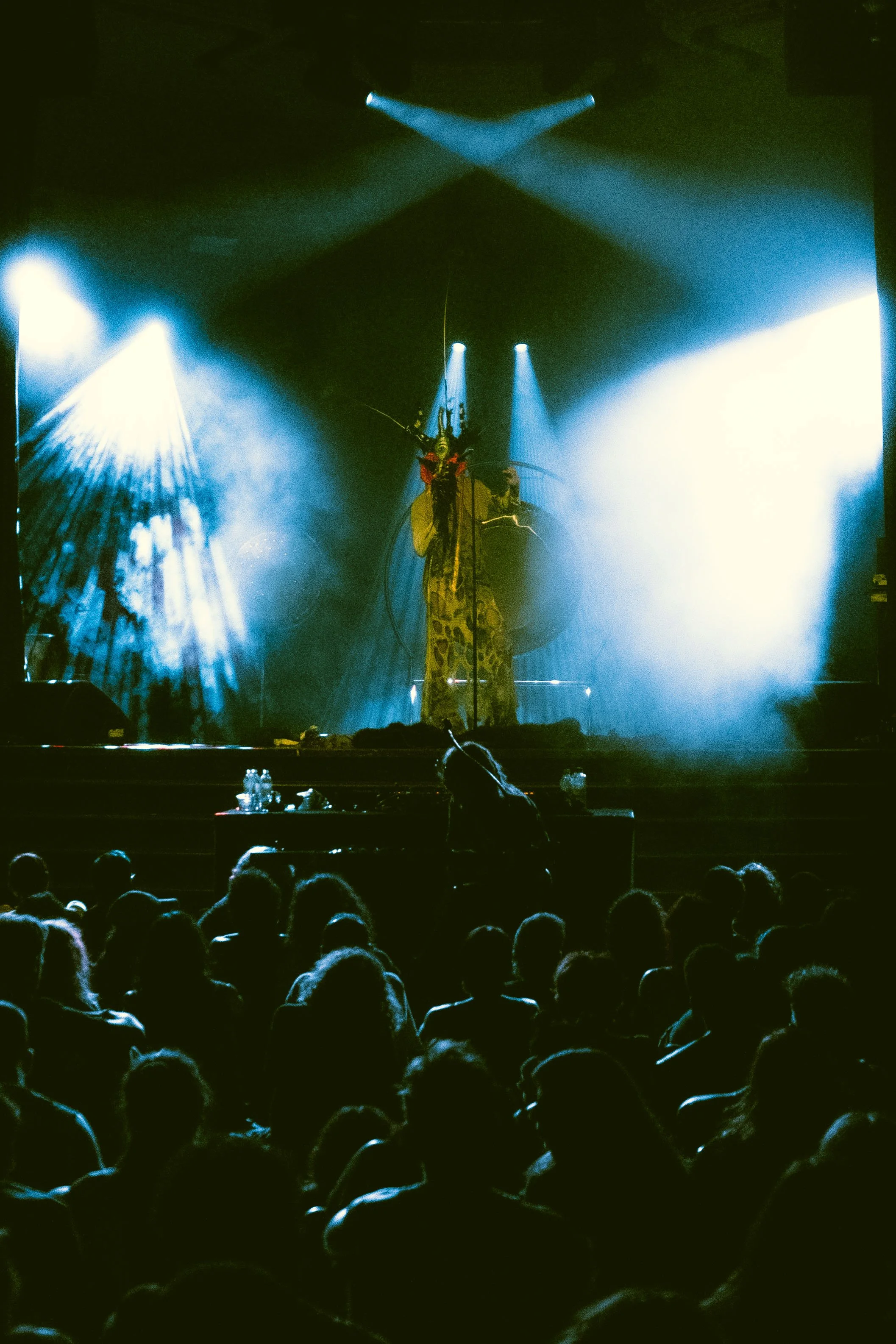 DSC08131.jpeg