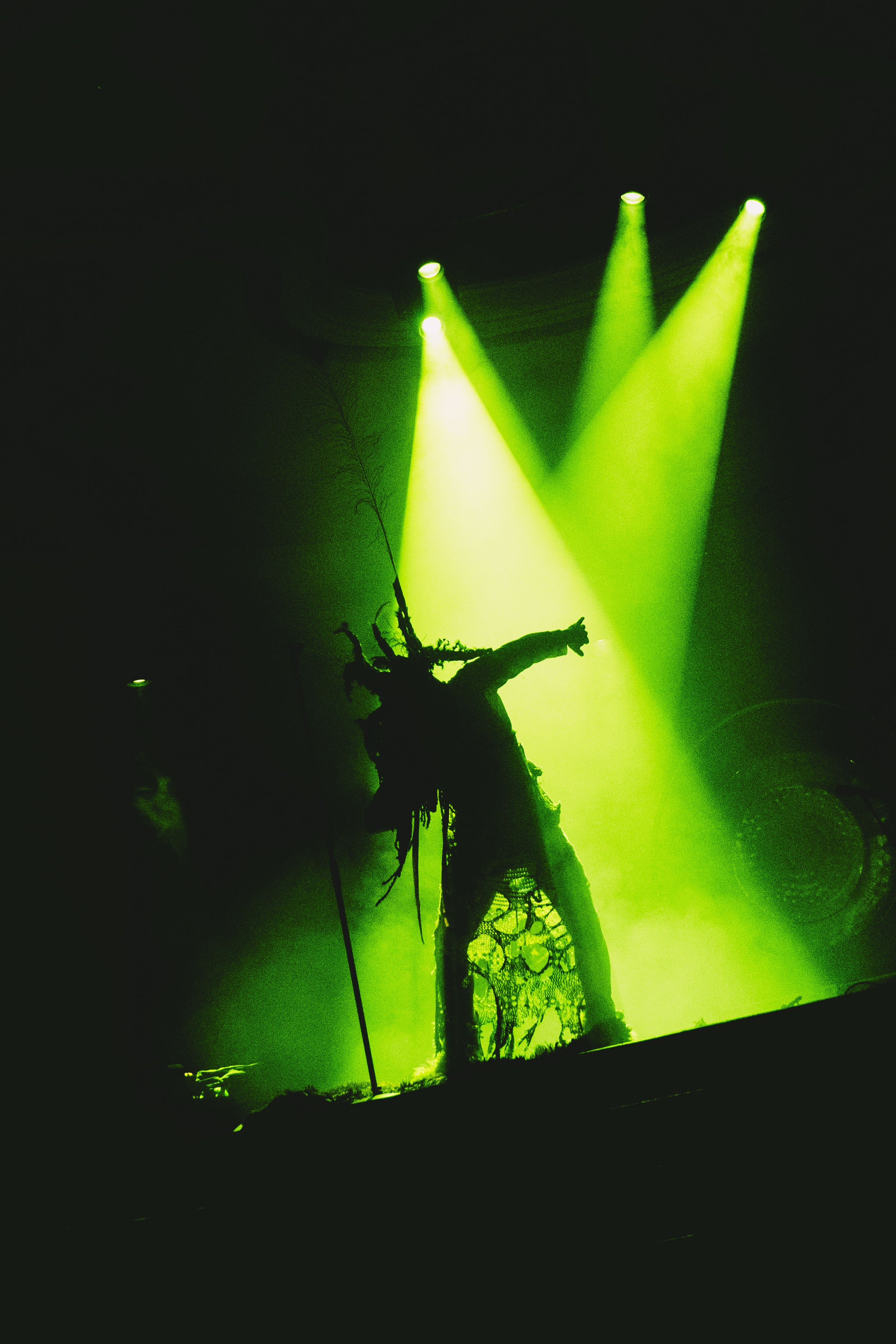 DSC08152.jpeg