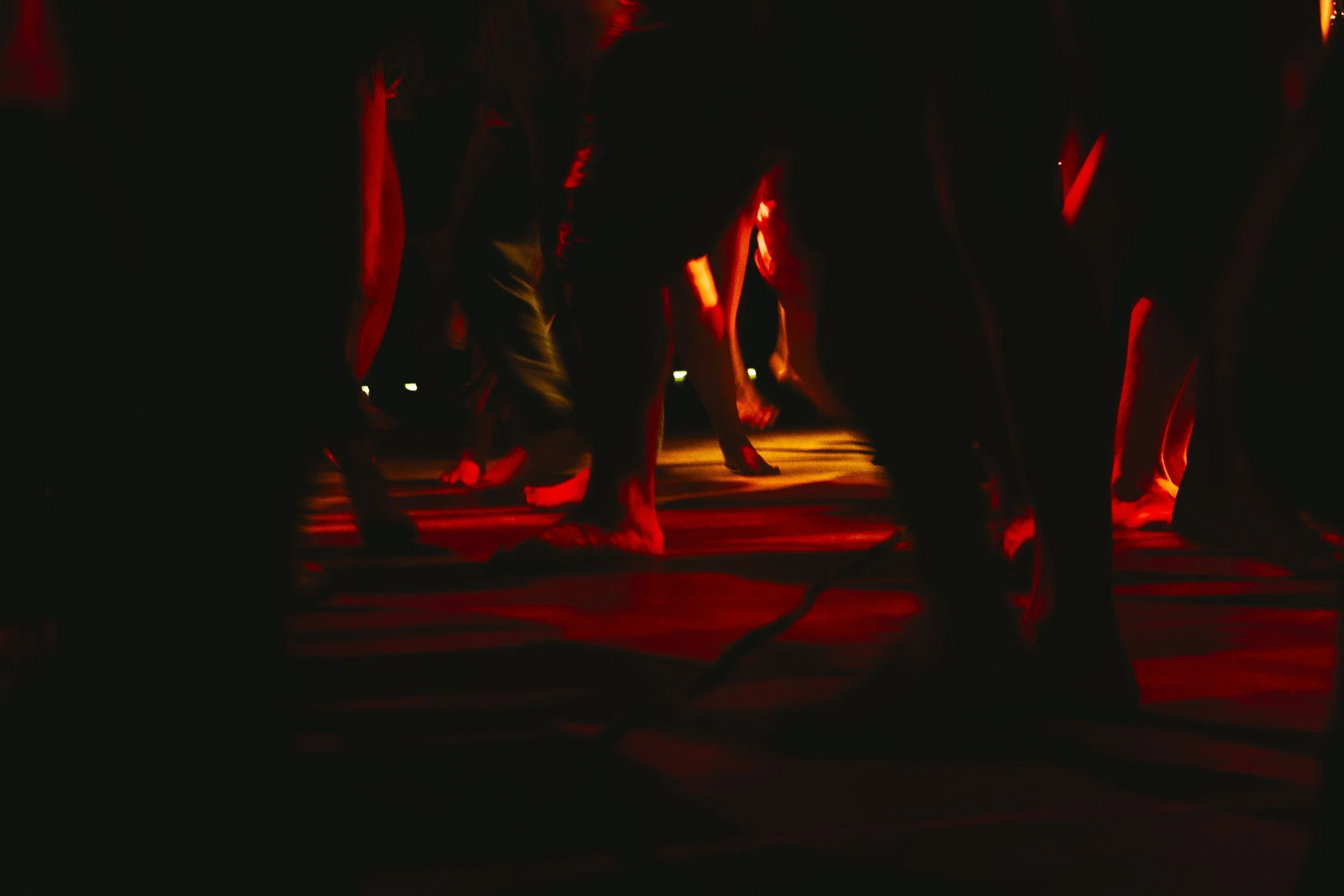 DSC07714.jpeg
