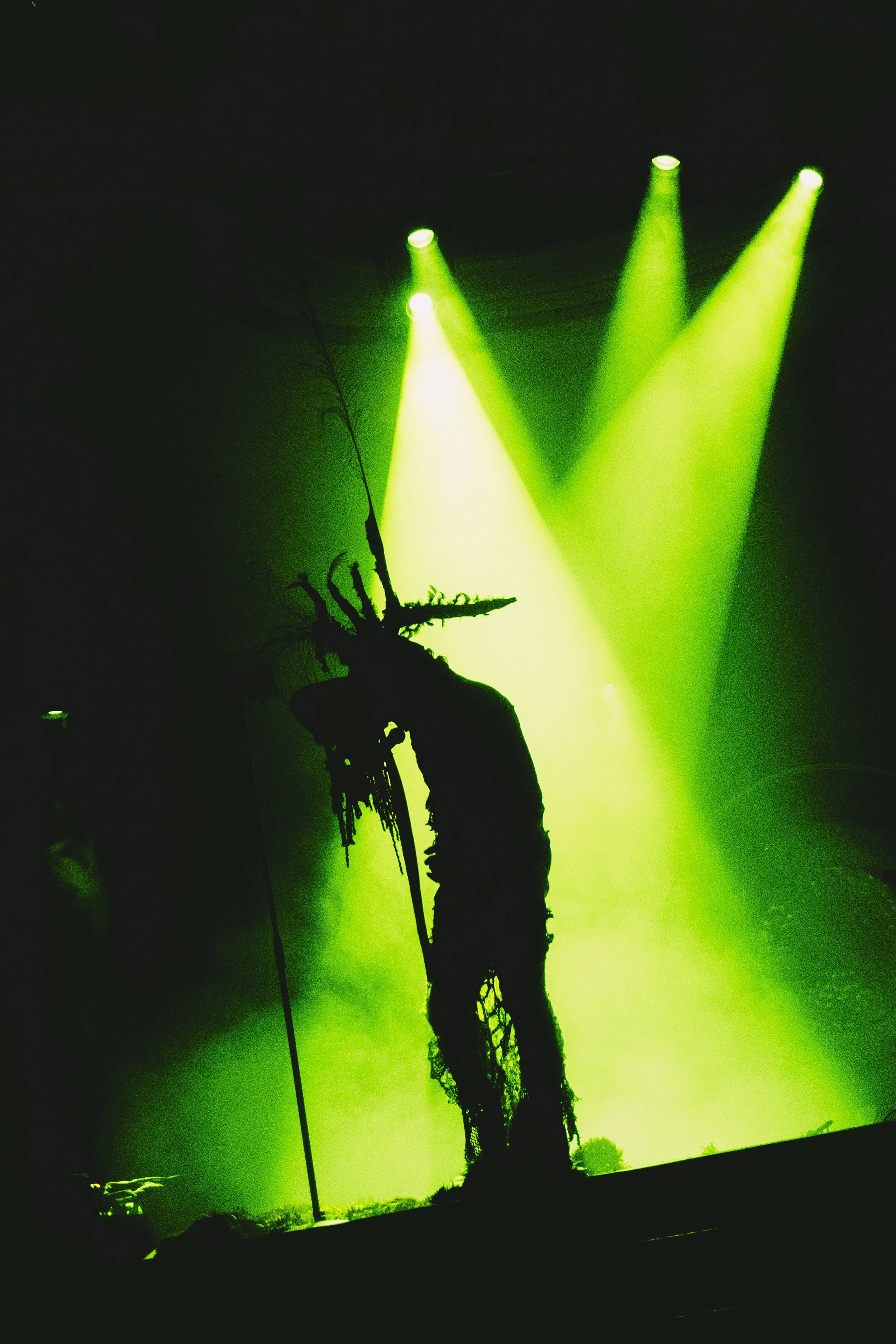 DSC08151.jpeg