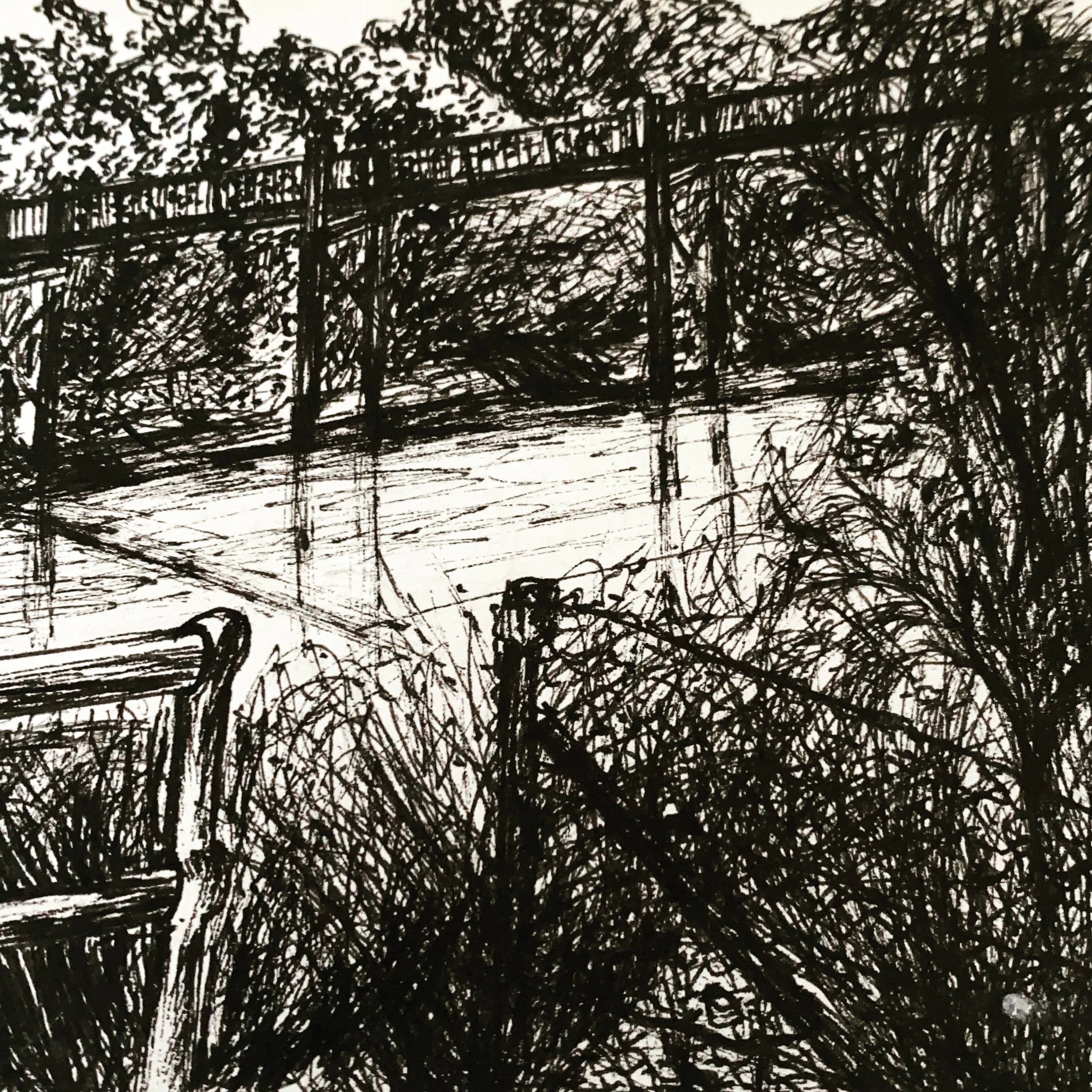 Cooks River, Canterbury