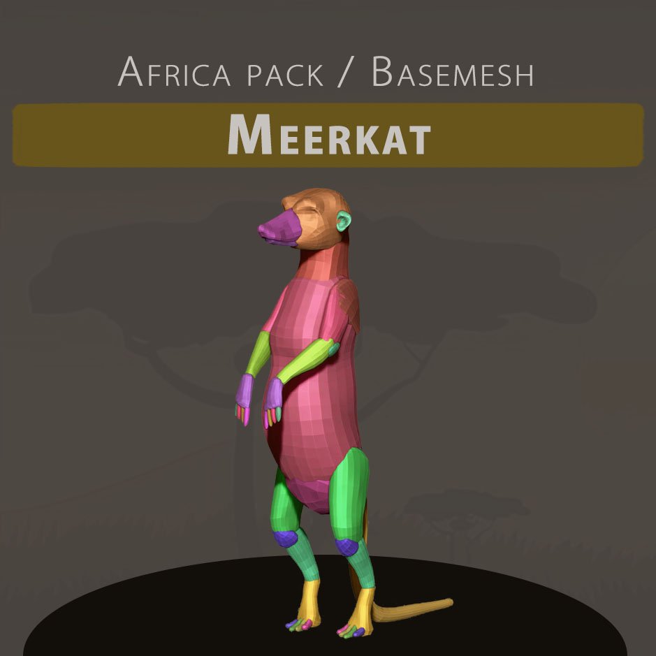 3D Basemesh - Meerkat