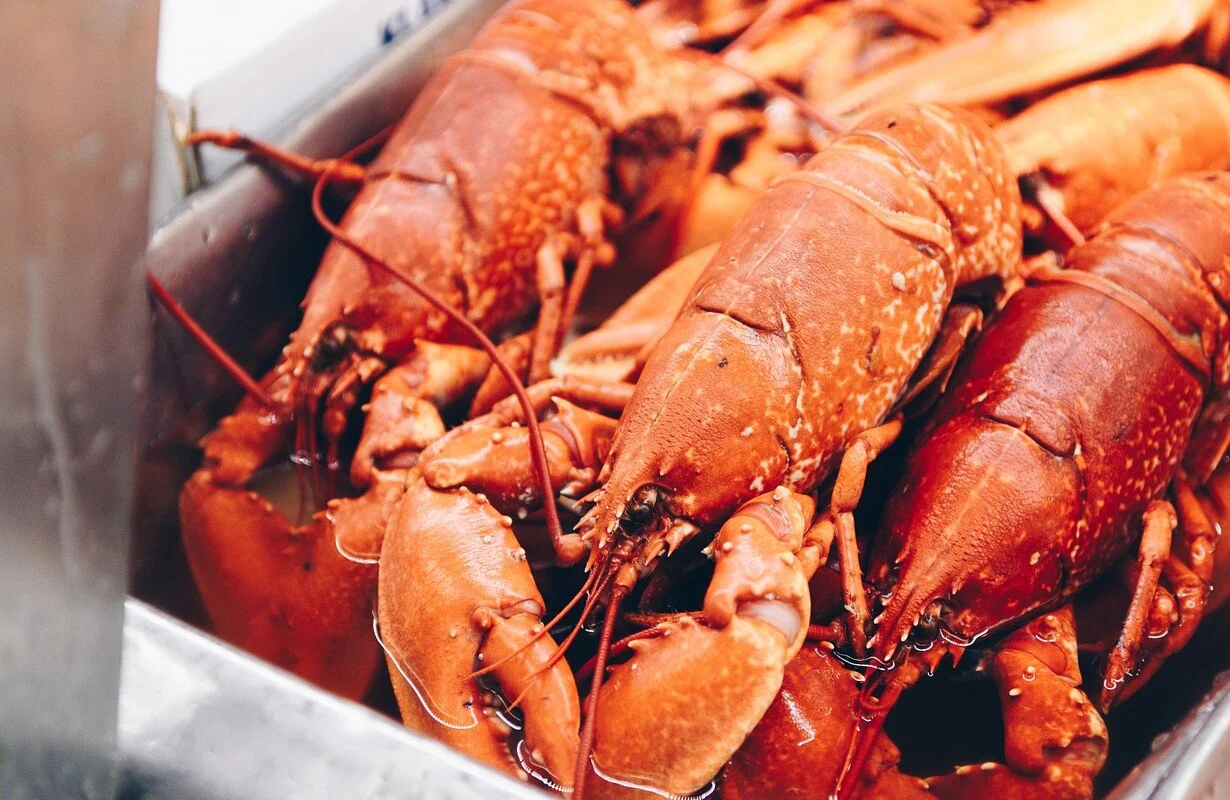 Ocean Grill Restaurant l Steak Restaurant l Ocean Village l Southampton