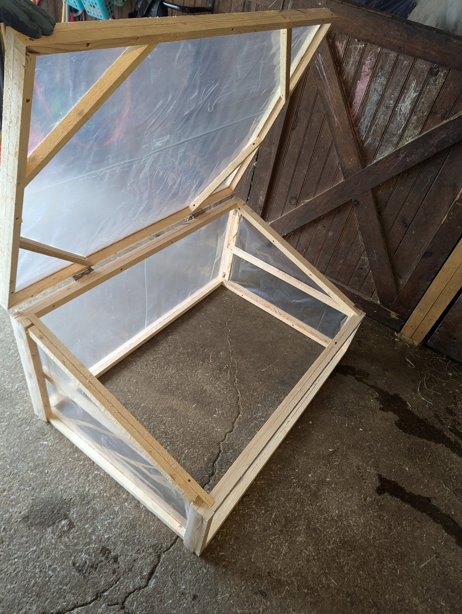 coldframe with hinges open pine.jpg