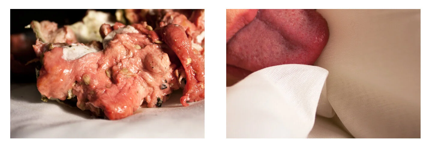 Above: Britney Roy BFA 3rd-yr Intermedia Photography Diptychs "Decomposition and Aging Series"&nbsp;