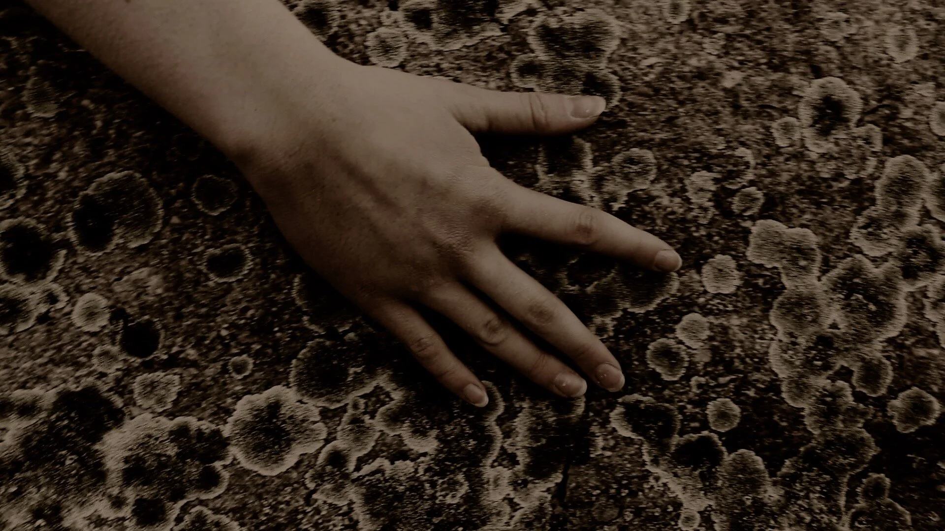 Rubbing Rock 2.jpg