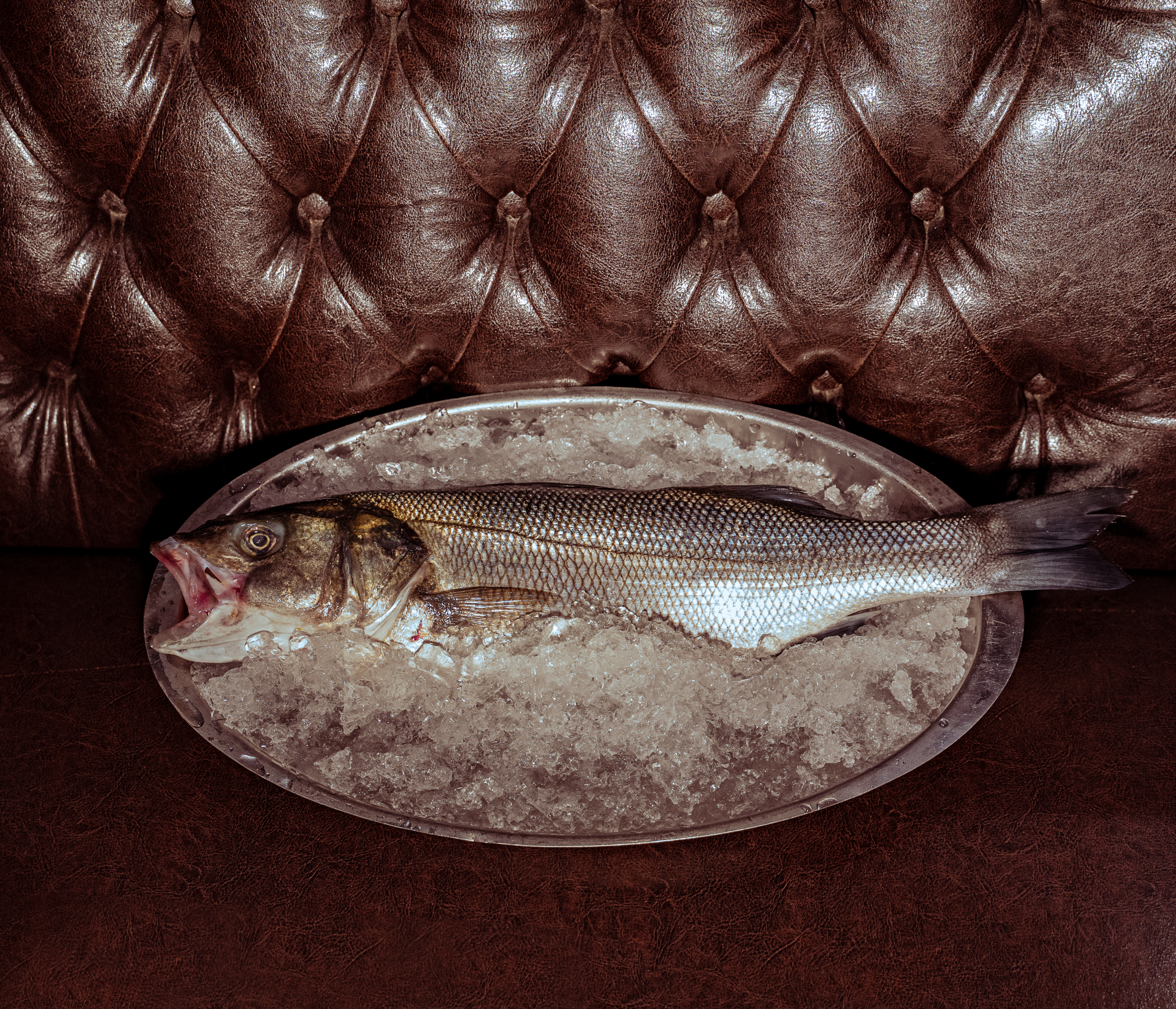 maureen_domprobst_photographe_lyon_poisson_bistrot_restaurant_culinaire.png