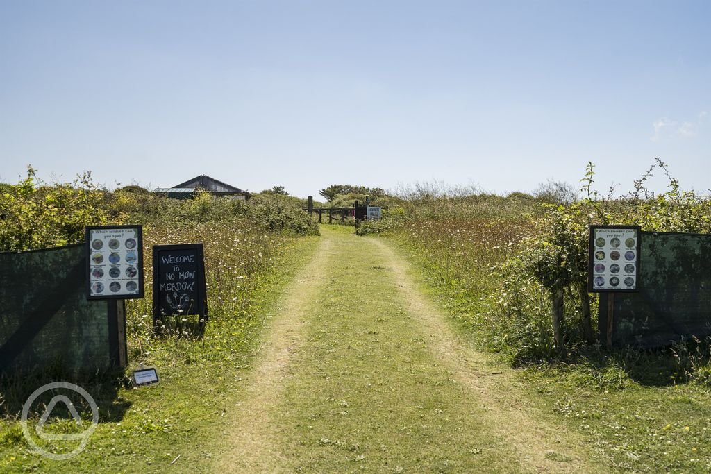 wildflower-meadow-trail.jpg