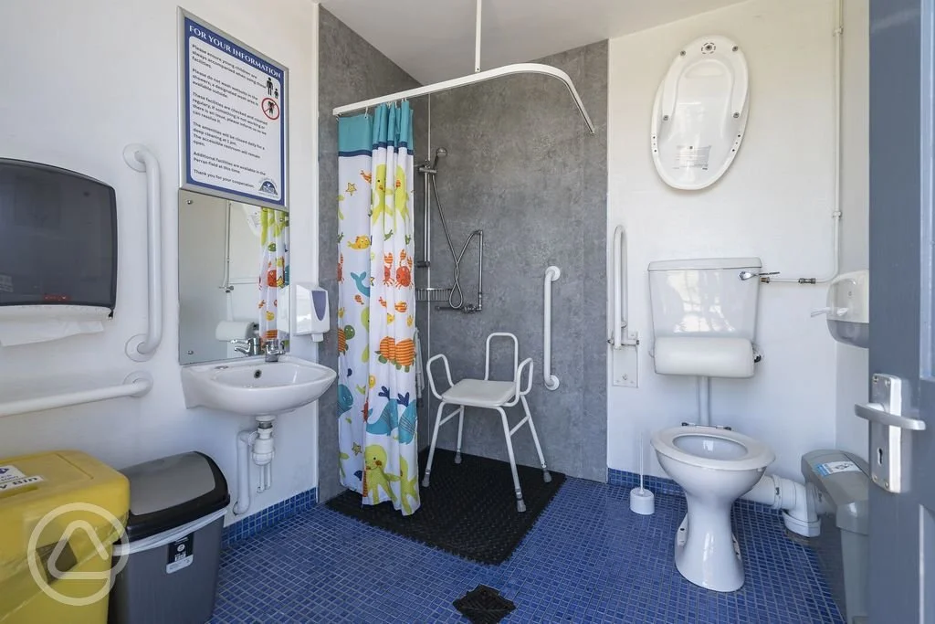 accessible-bathroom-with-stools-grab-rails-and-baby-changing-facilities.jpg