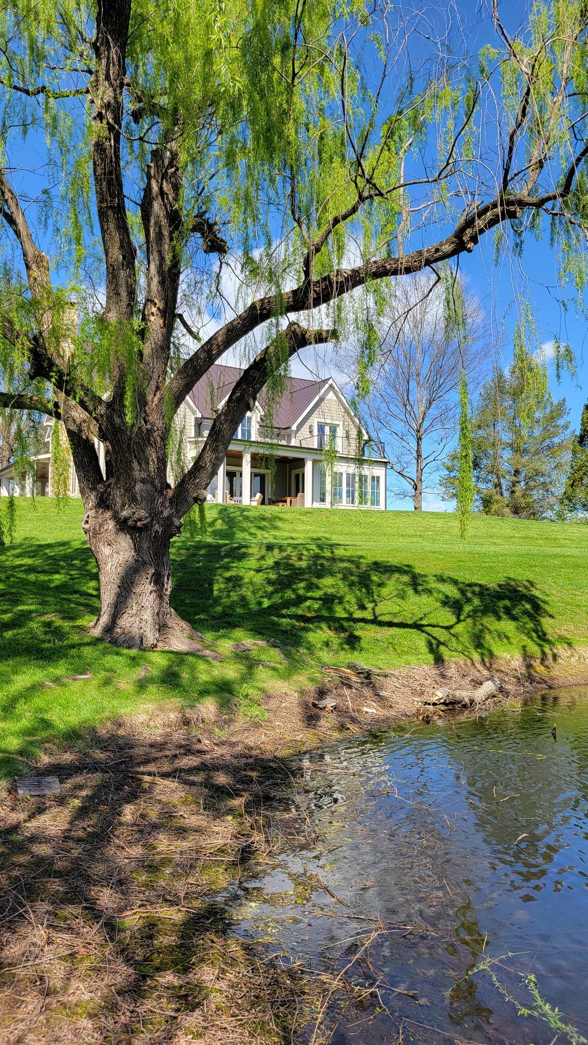 SNEEK PEEK 👉 stay tuned for more to come on this Middleburg property!
.
.
.
Photos: @studio360architects 
#middleburg #huntcountry #va #architecture #residential l #customhome #farmhouse #craftedwithlove #excellencebroughthome #pondview #fauquier #c