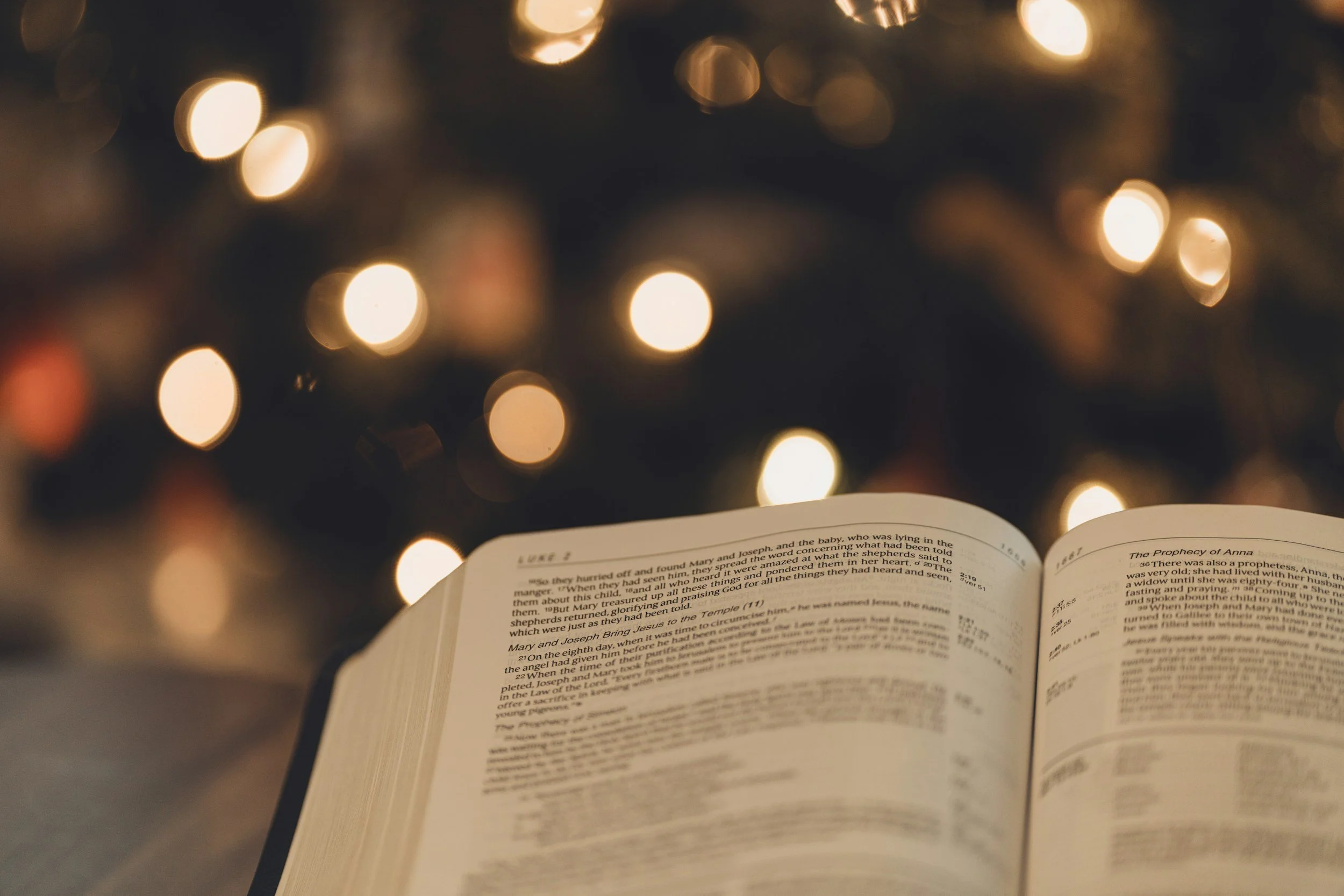 5 Steps to a Merry Mental Mindset