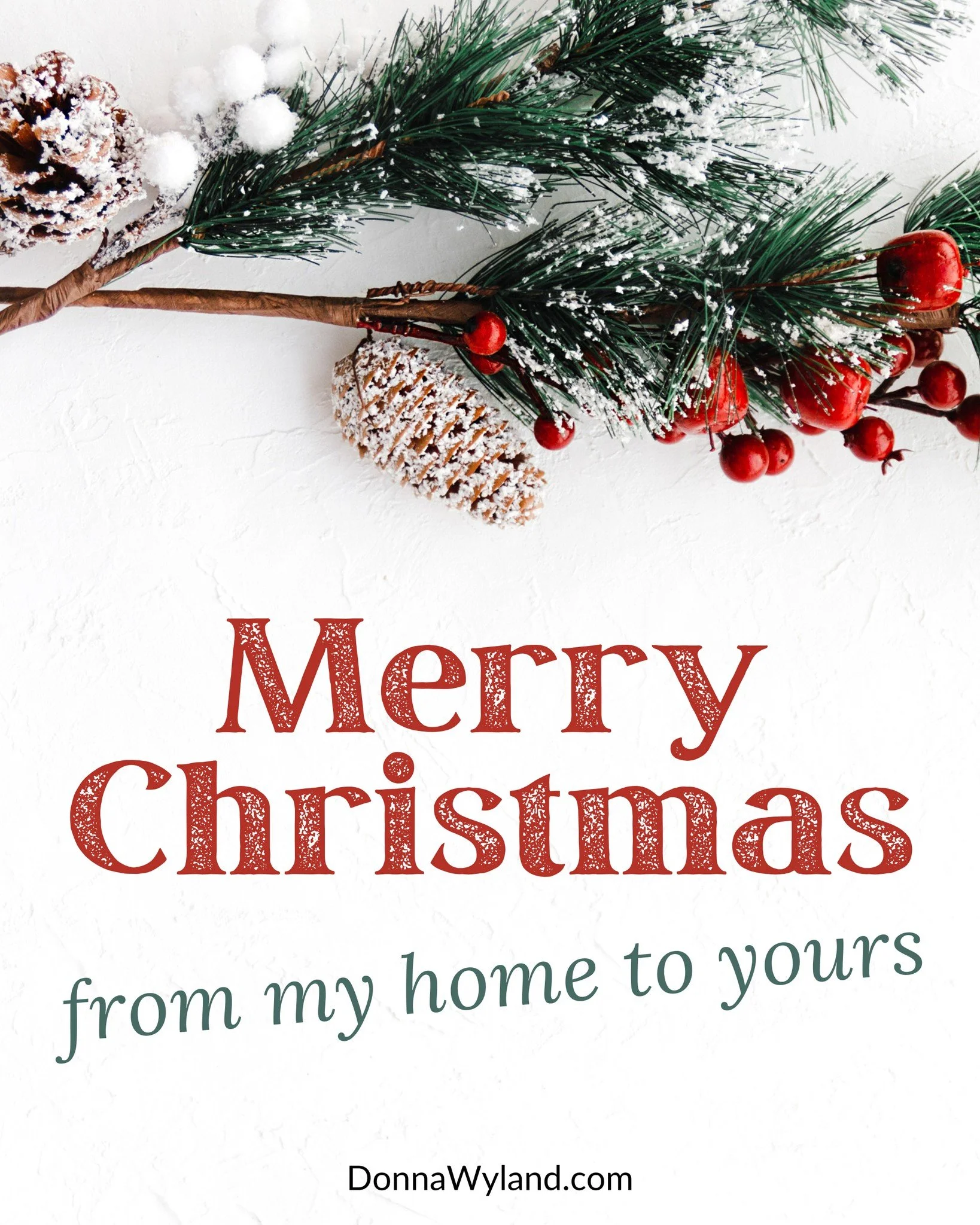 Merry Christmas! May the joy of Christ&rsquo;s birth fill your hearts with peace, hope, and the wonder of His love. Here&rsquo;s to new stories inspired by the greatest Story ever told.