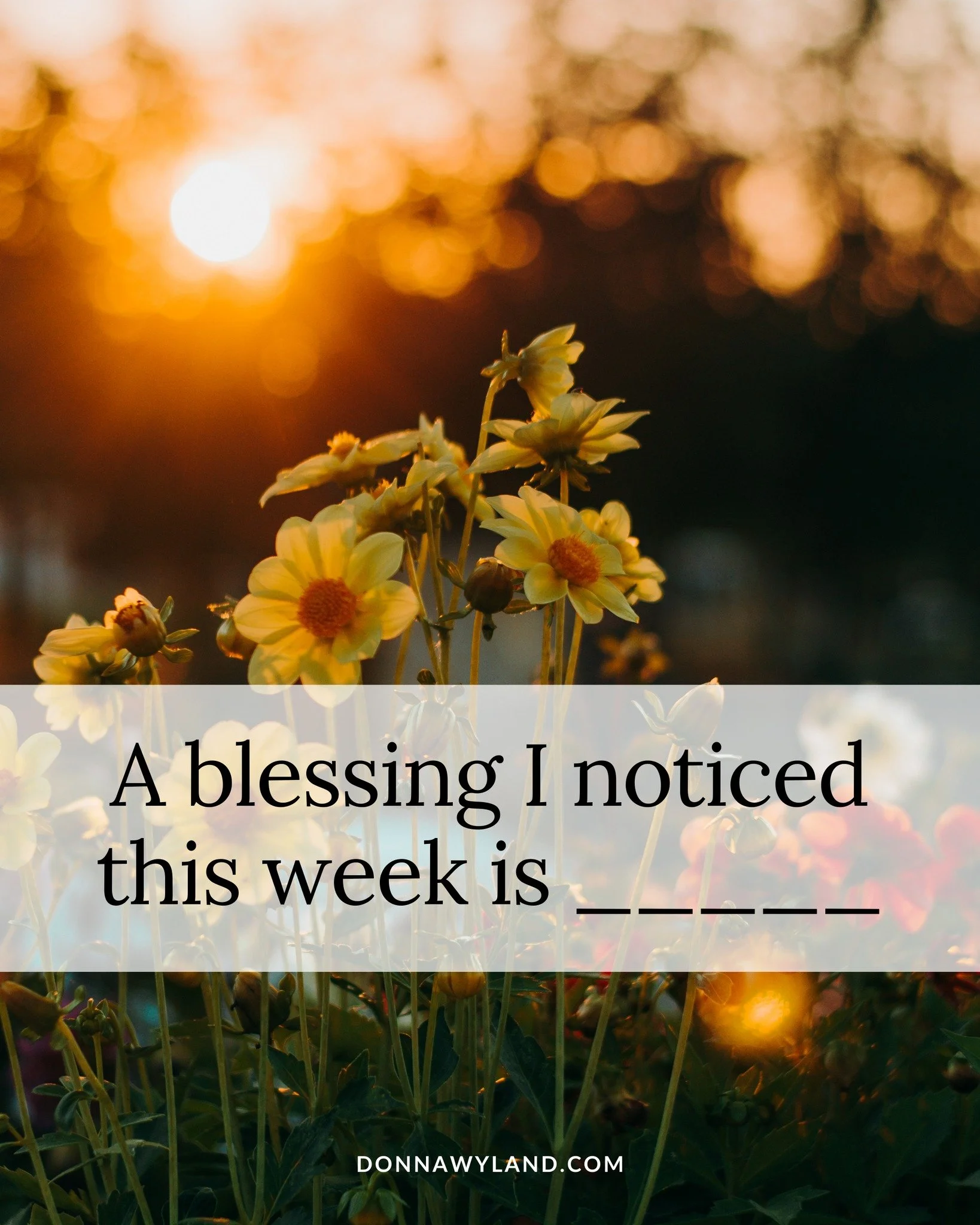 Let&rsquo;s celebrate the small joys! What&rsquo;s one good thing that happened this week?