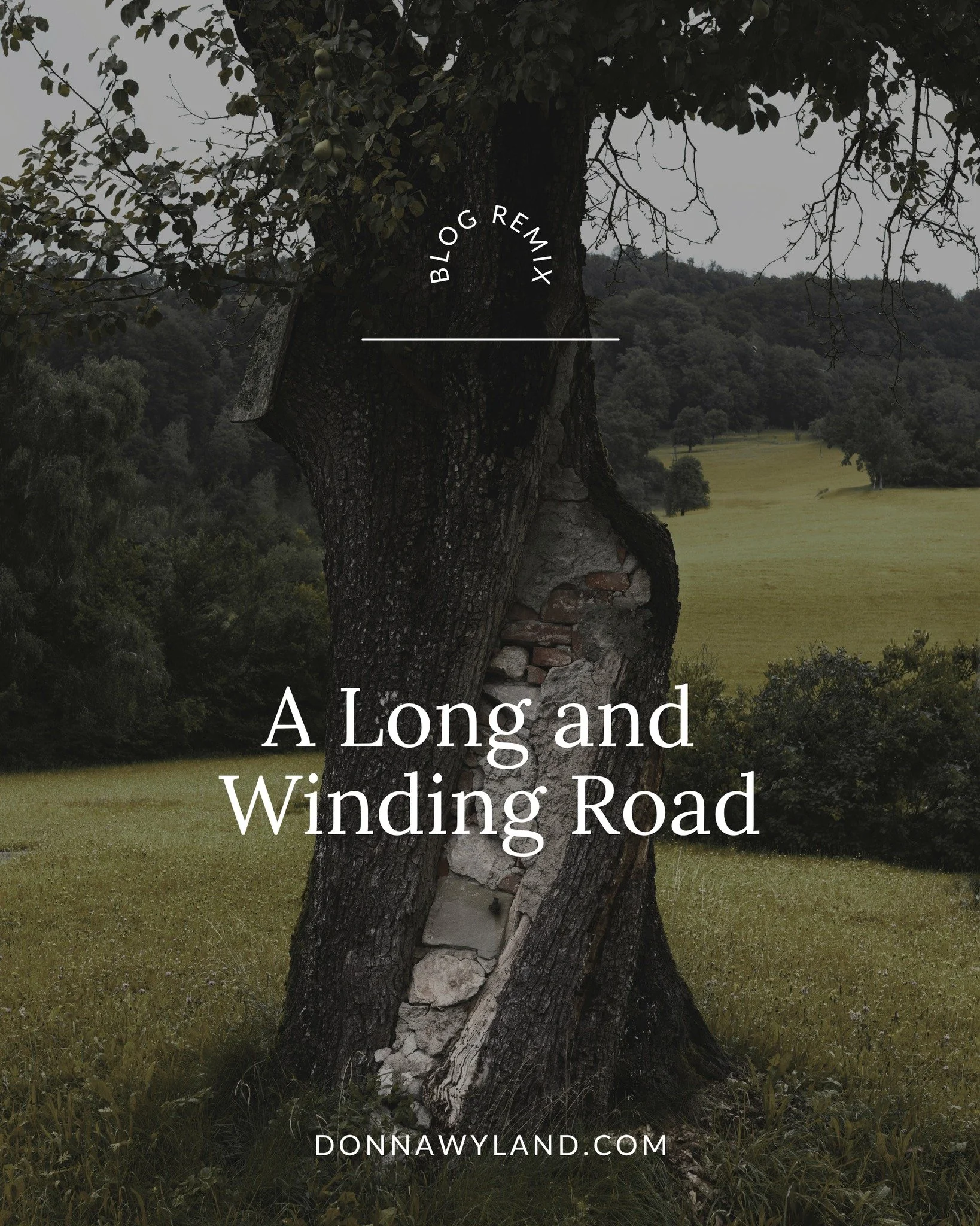 My mind is most often at peace when I'm at my woodland cabin gazing at the forest that surrounds it on every side. As leaves continue to fall from the towering trees, trunks become visible, their twists and turns more obvious to the eye.

Staring at 