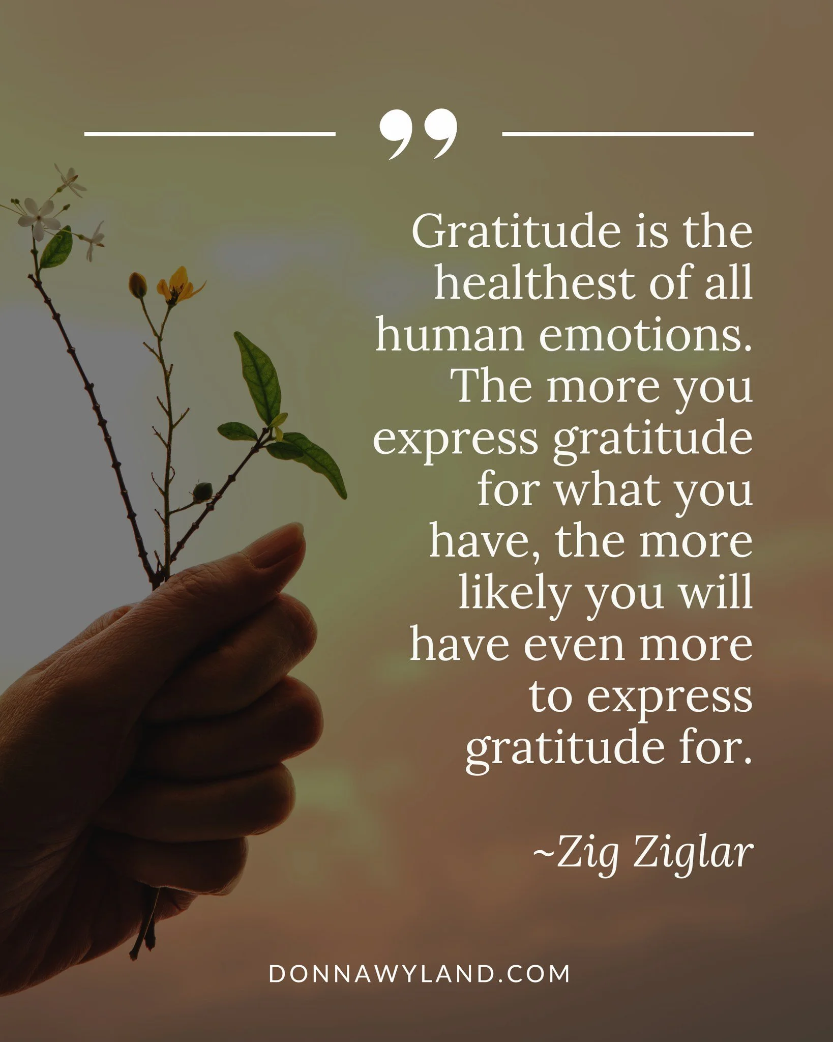 "Gratitude is the healthest of all human emotions. The more you express gratitude for what you have, the more likely you will have even more to express gratitude for." ~Zig Ziglar

My Guided Gratitude Journal is available on Amazon. You can