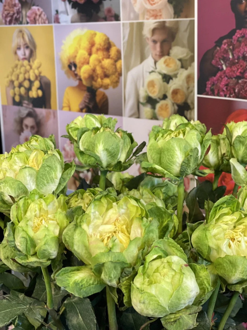 IMG_3262 - kopie.JPEG