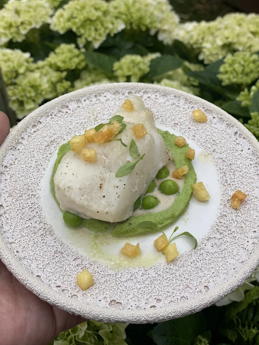 Ceremoniemeester Inhuren