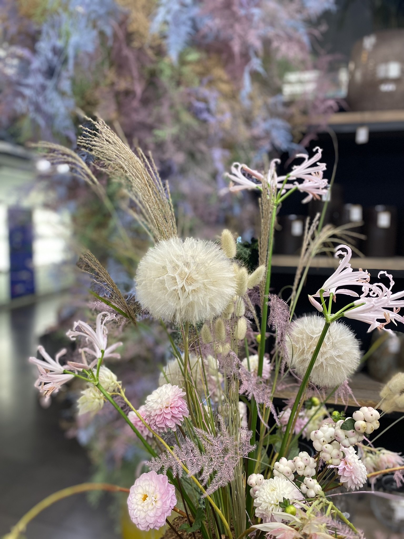 IMG_7881 - kopie.JPEG