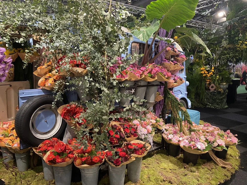 Blog Maarten Huisman