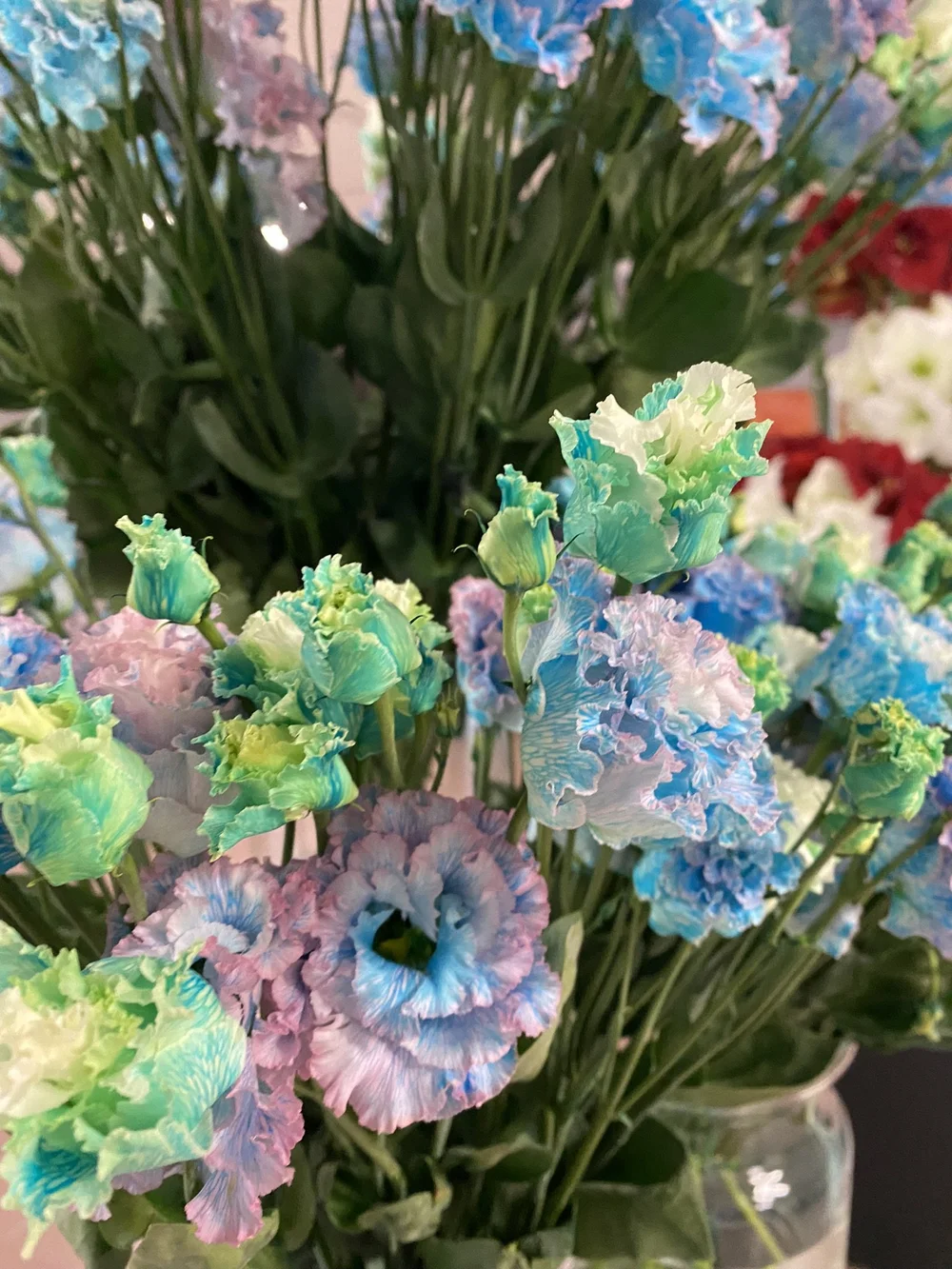 Blog Maarten Huisman