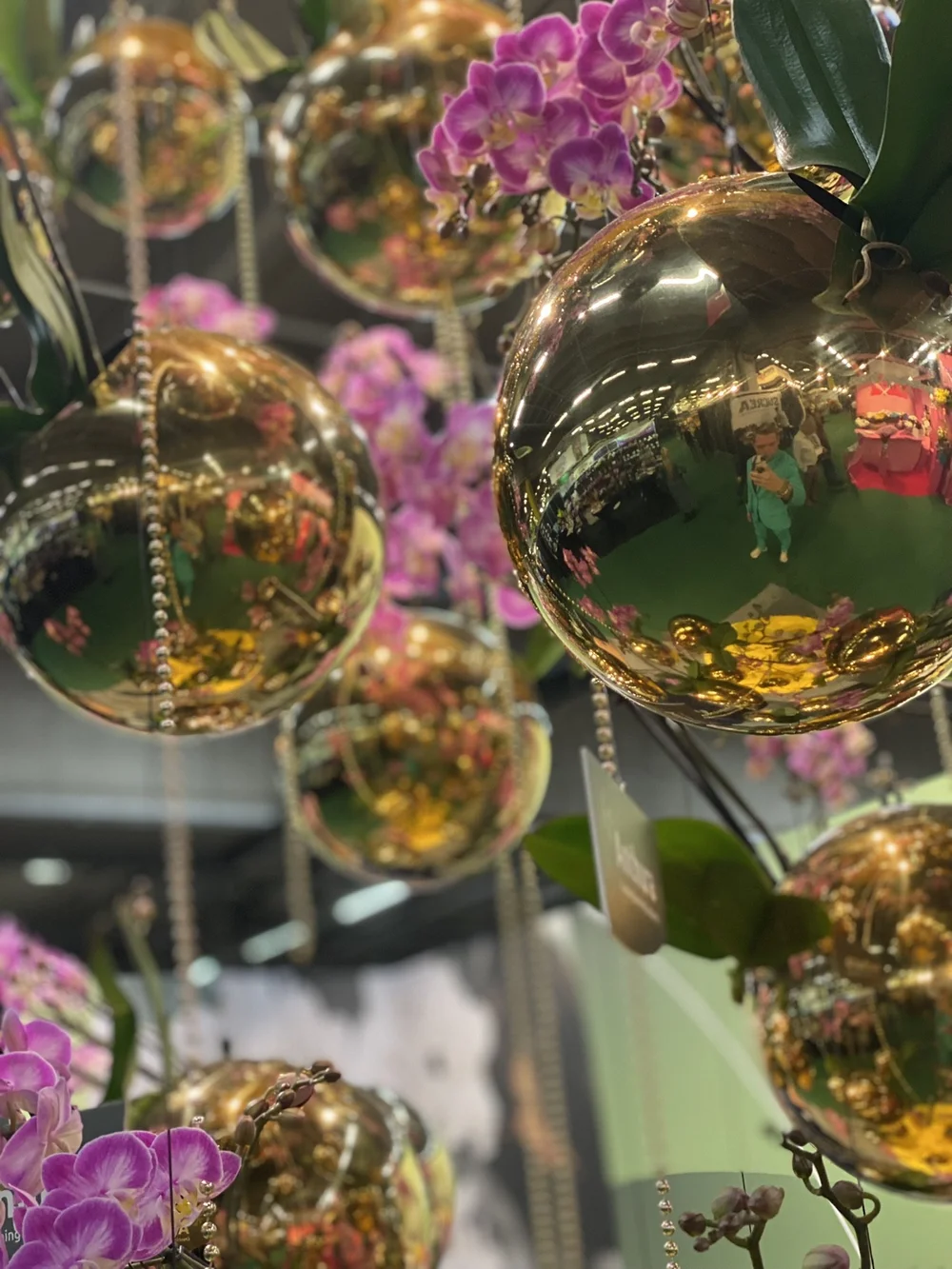 Blog Maarten Huisman