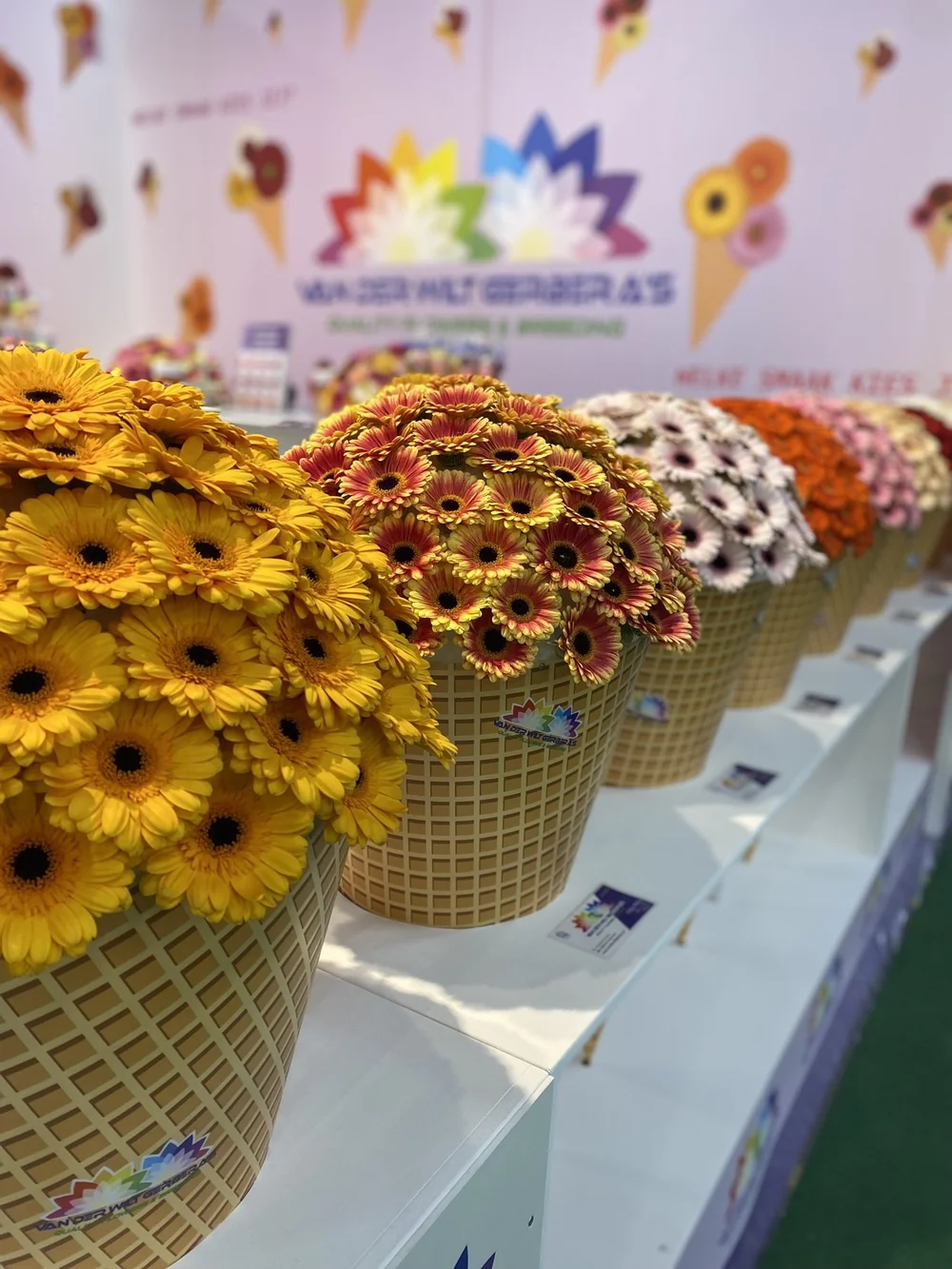 Blog Maarten Huisman